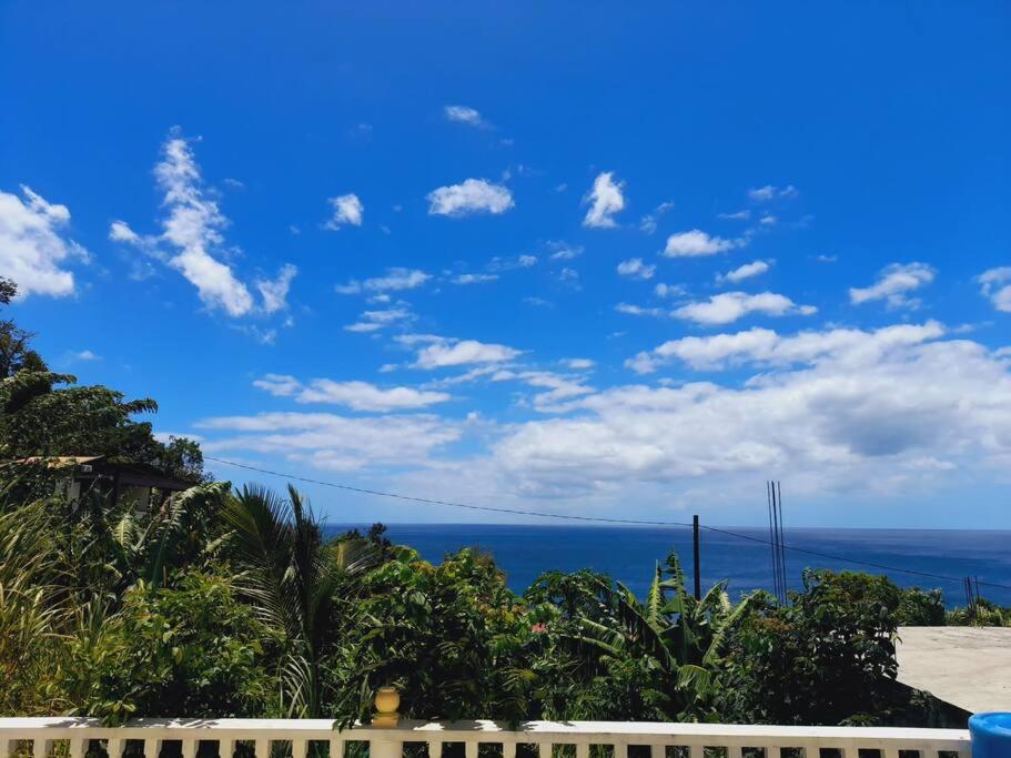 Air Conditioned House With Ocean And Garden View