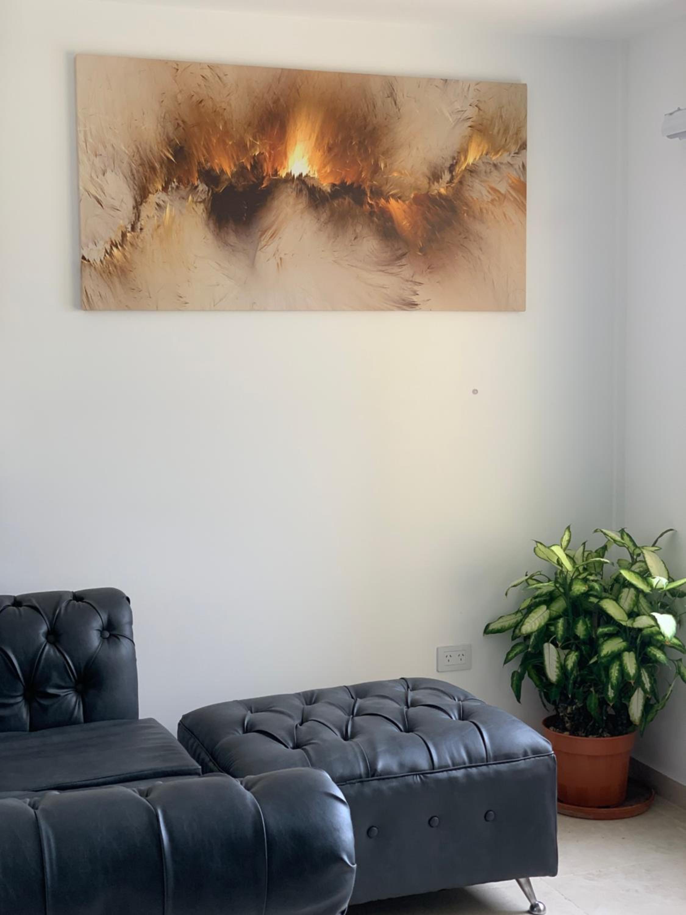 Dolores House PREMIUM