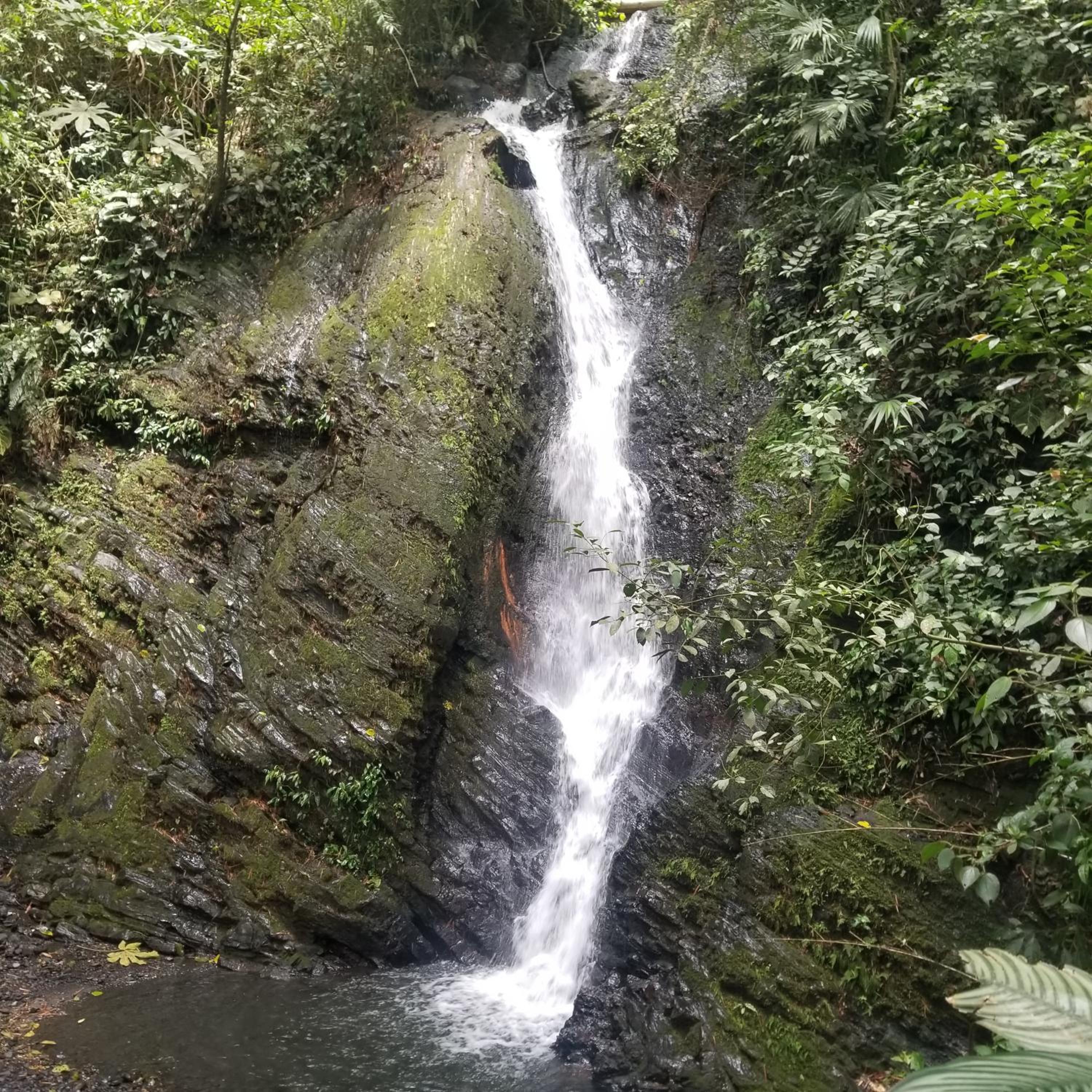 Waterfall El Paraíso - Cabañas, jacuzzi, piscina y cascada en medio de la naturaleza