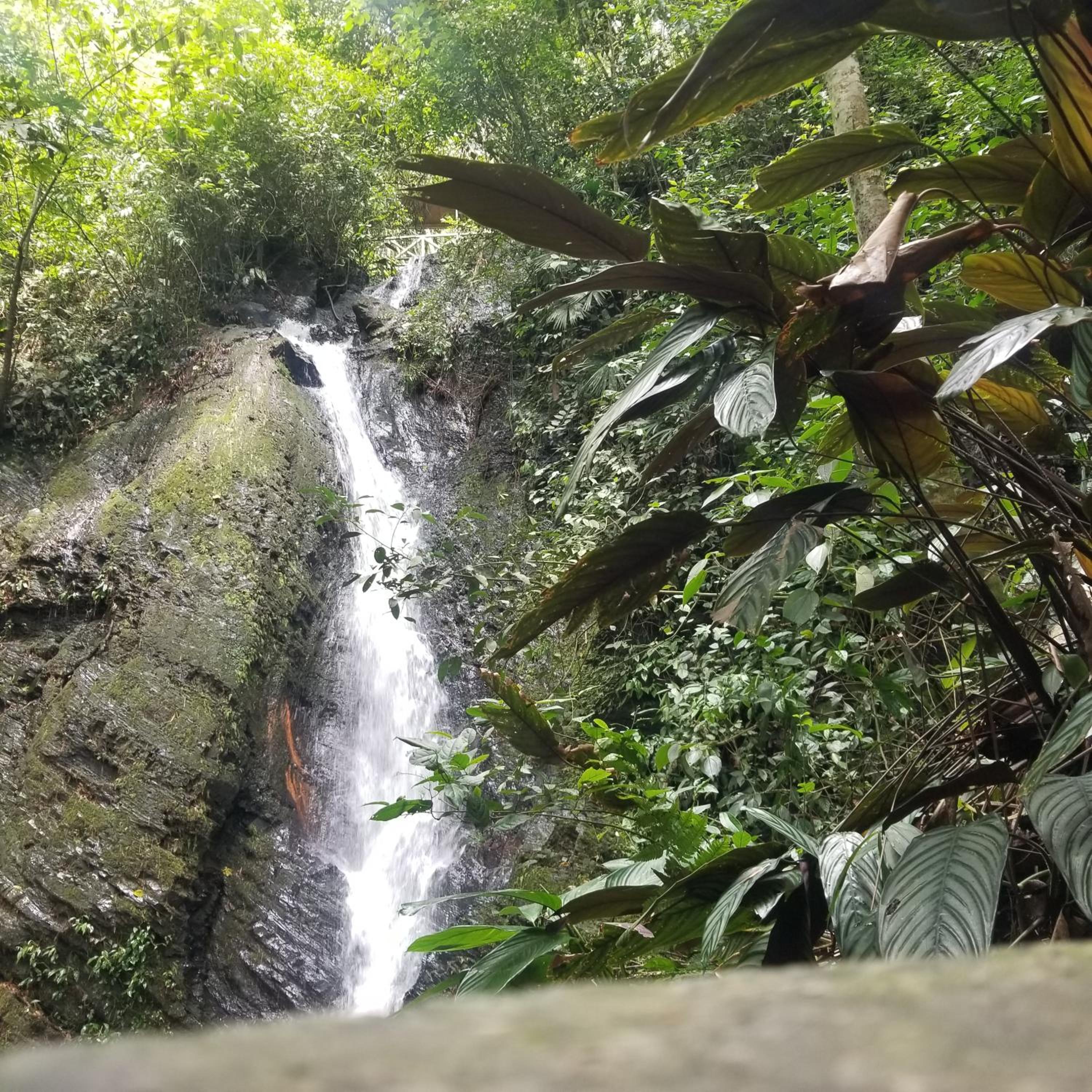 Waterfall El Paraíso - Cabañas, jacuzzi, piscina y cascada en medio de la naturaleza