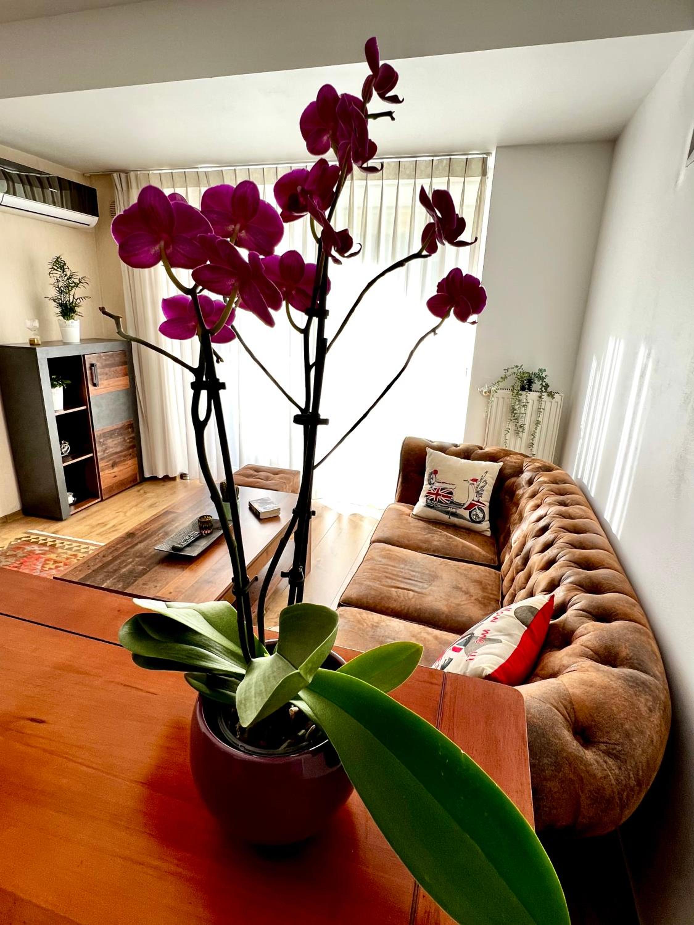 WOOD STORY - Modern 1BR Apt near city center with parking view 4
