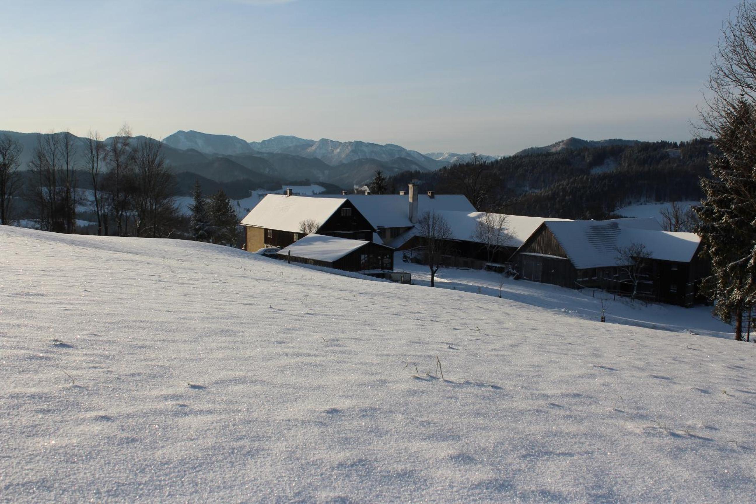 Hirmhof