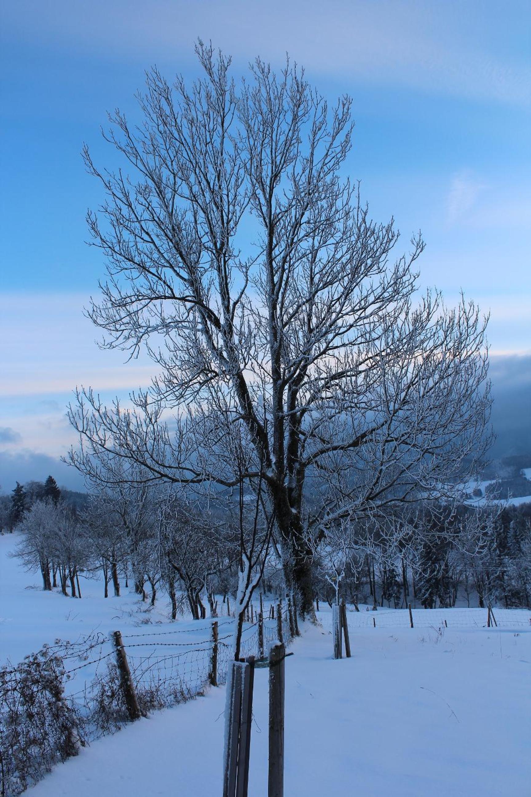 Hirmhof