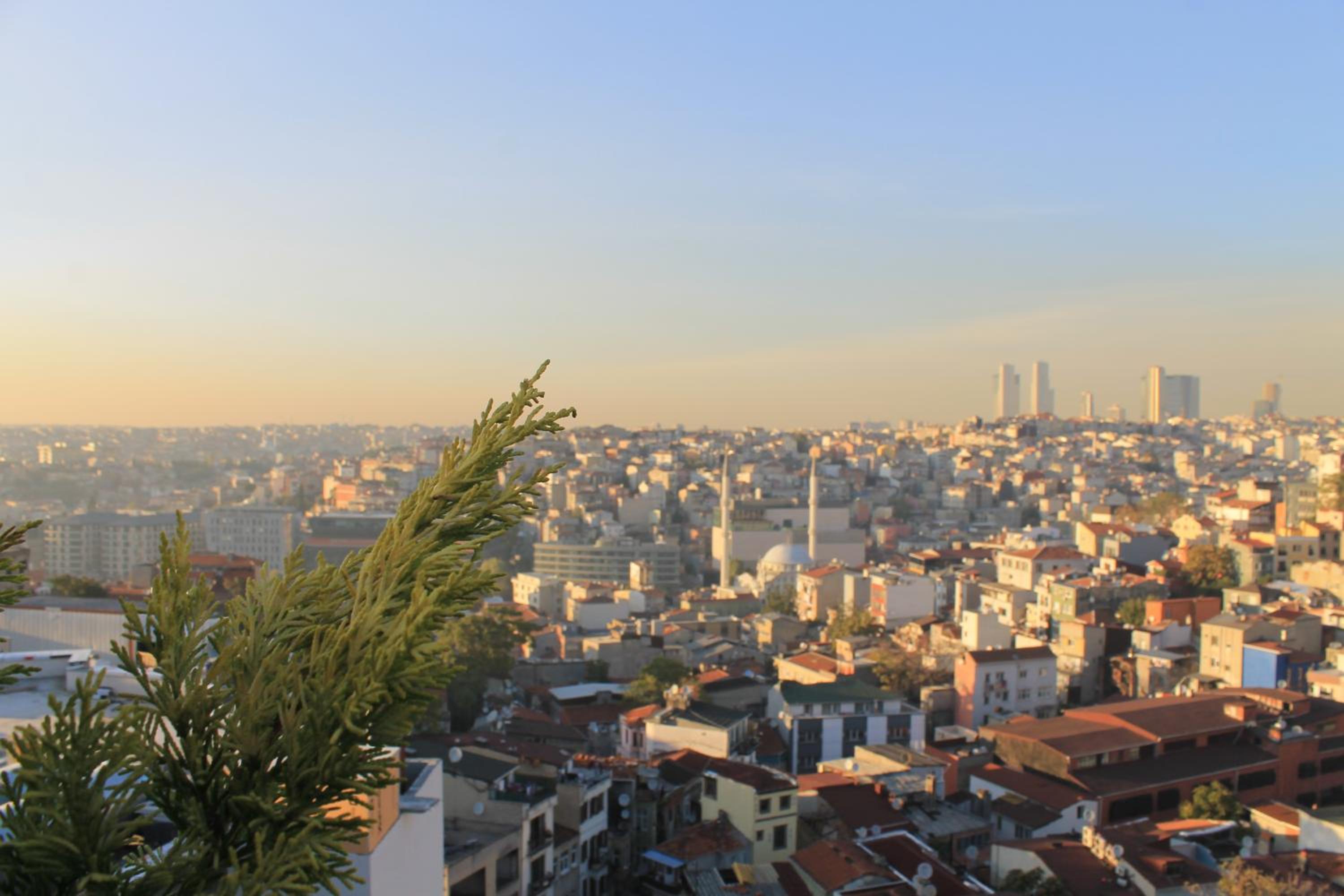 Garlon Residence - Image 17