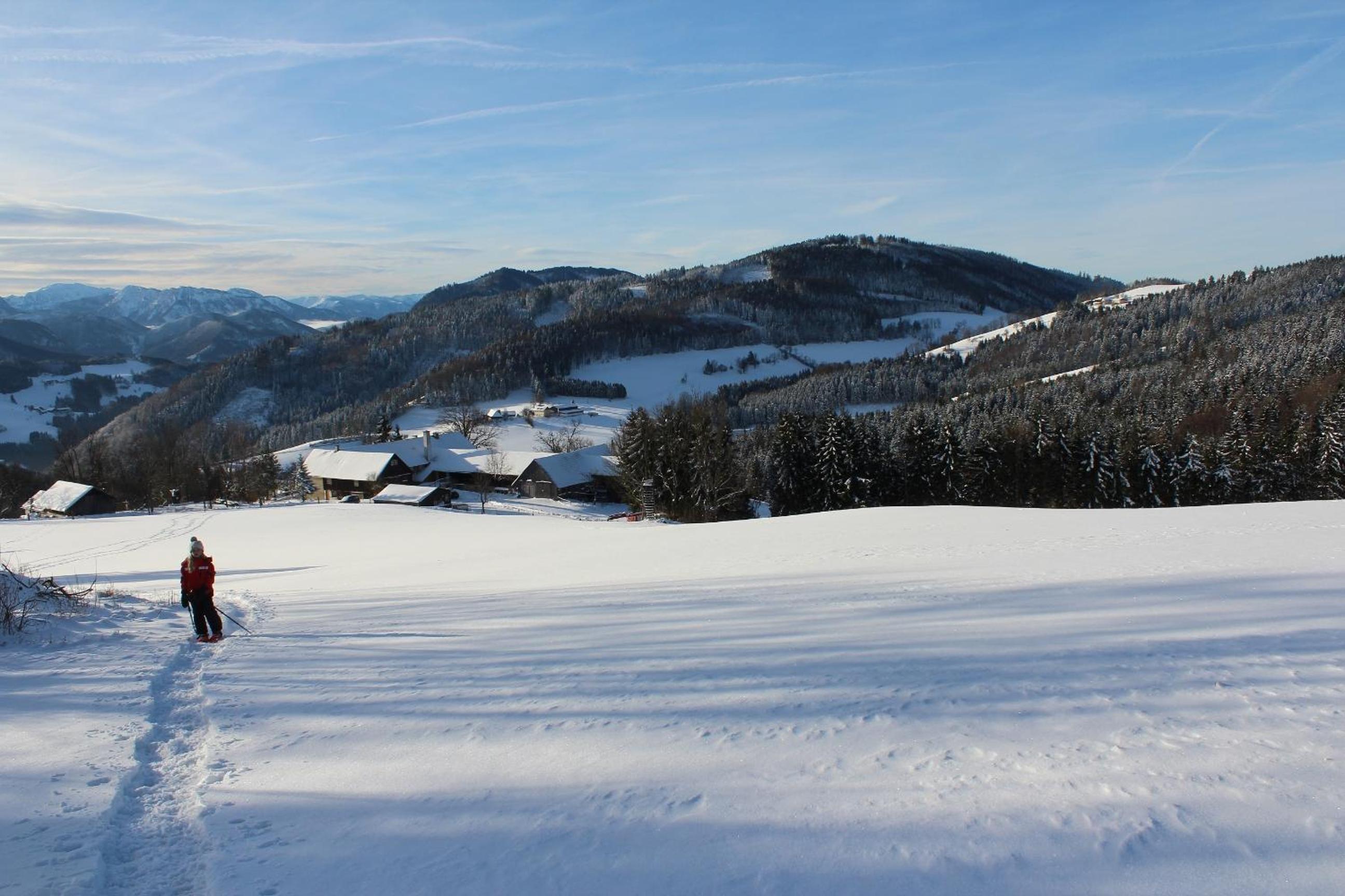Hirmhof