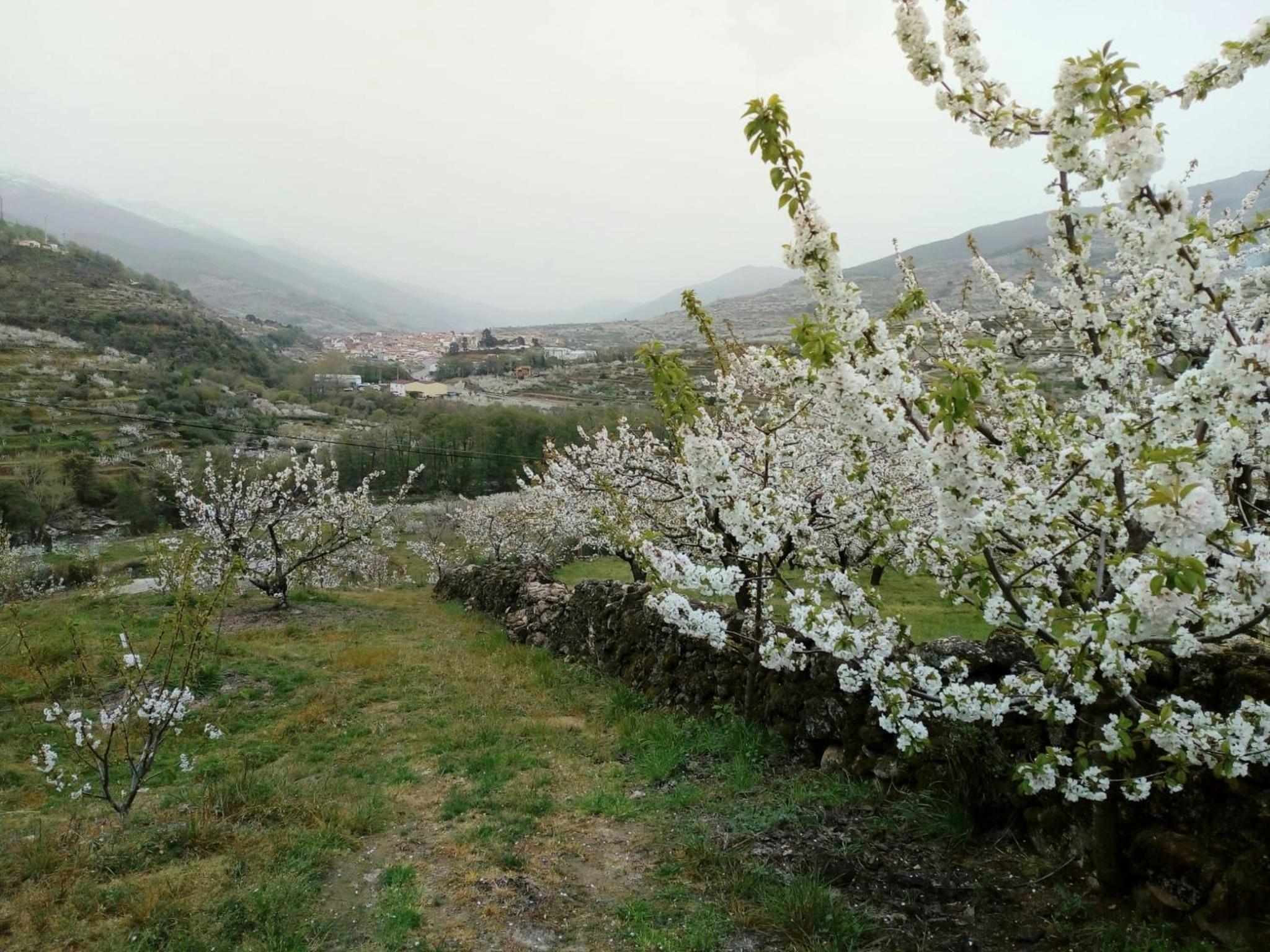 Photo 32