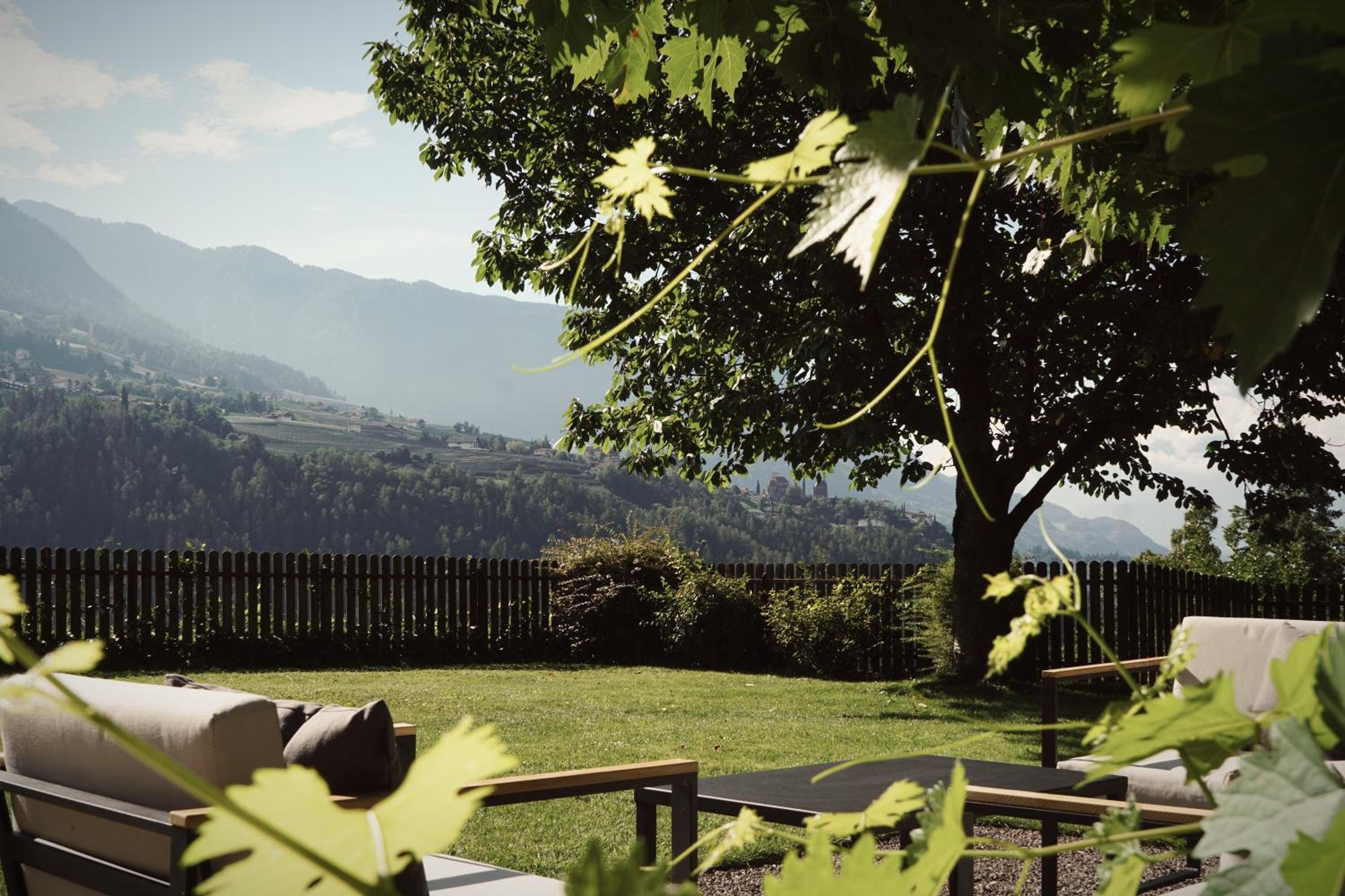 Villa Vitis view 3