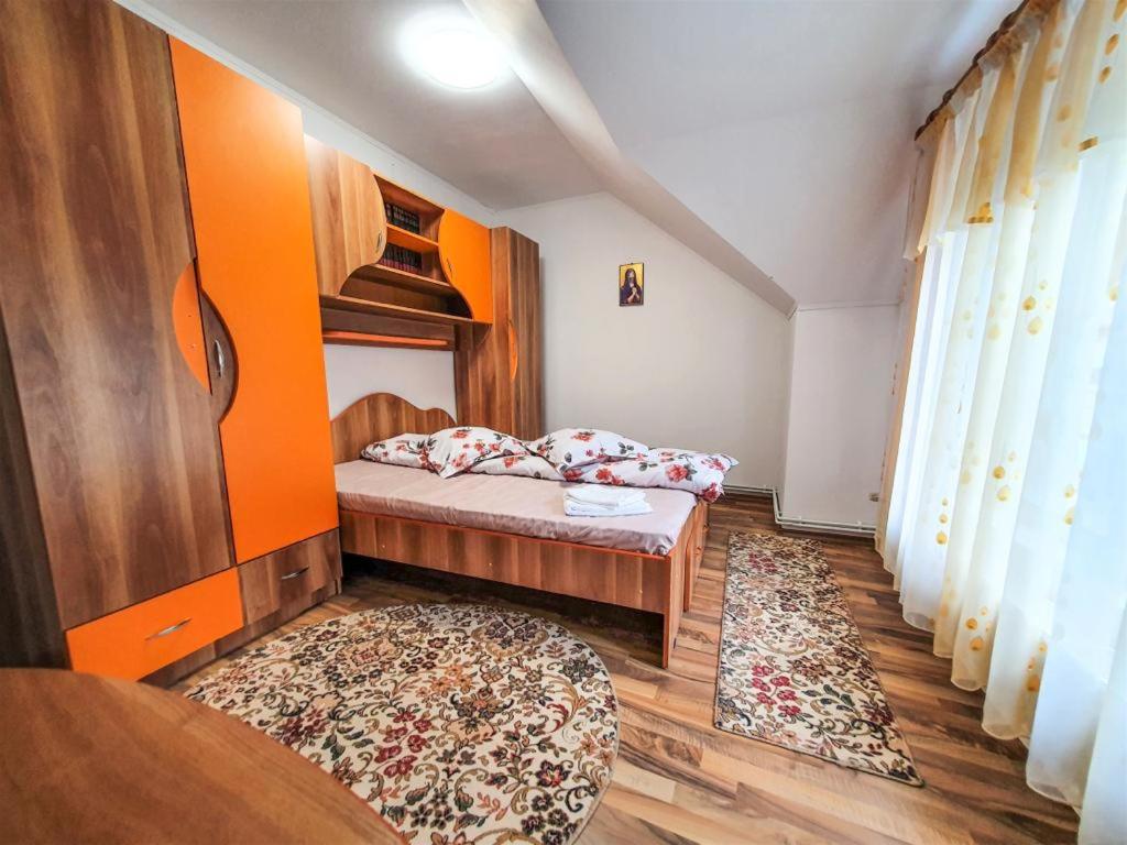 Casa de langa rau RUCAR view 2