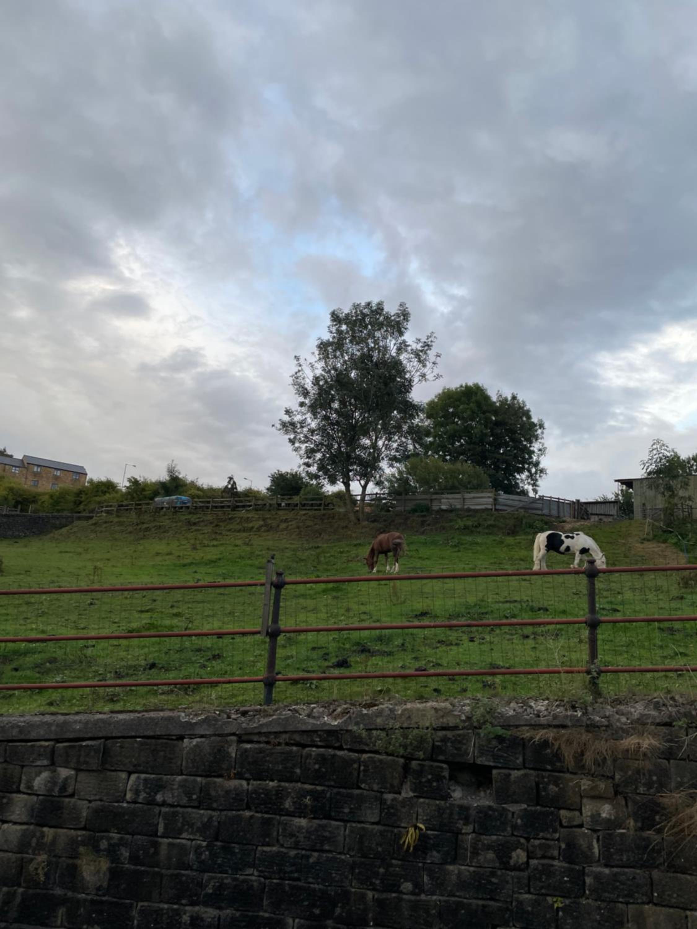 Ebor Mill's Cottage
