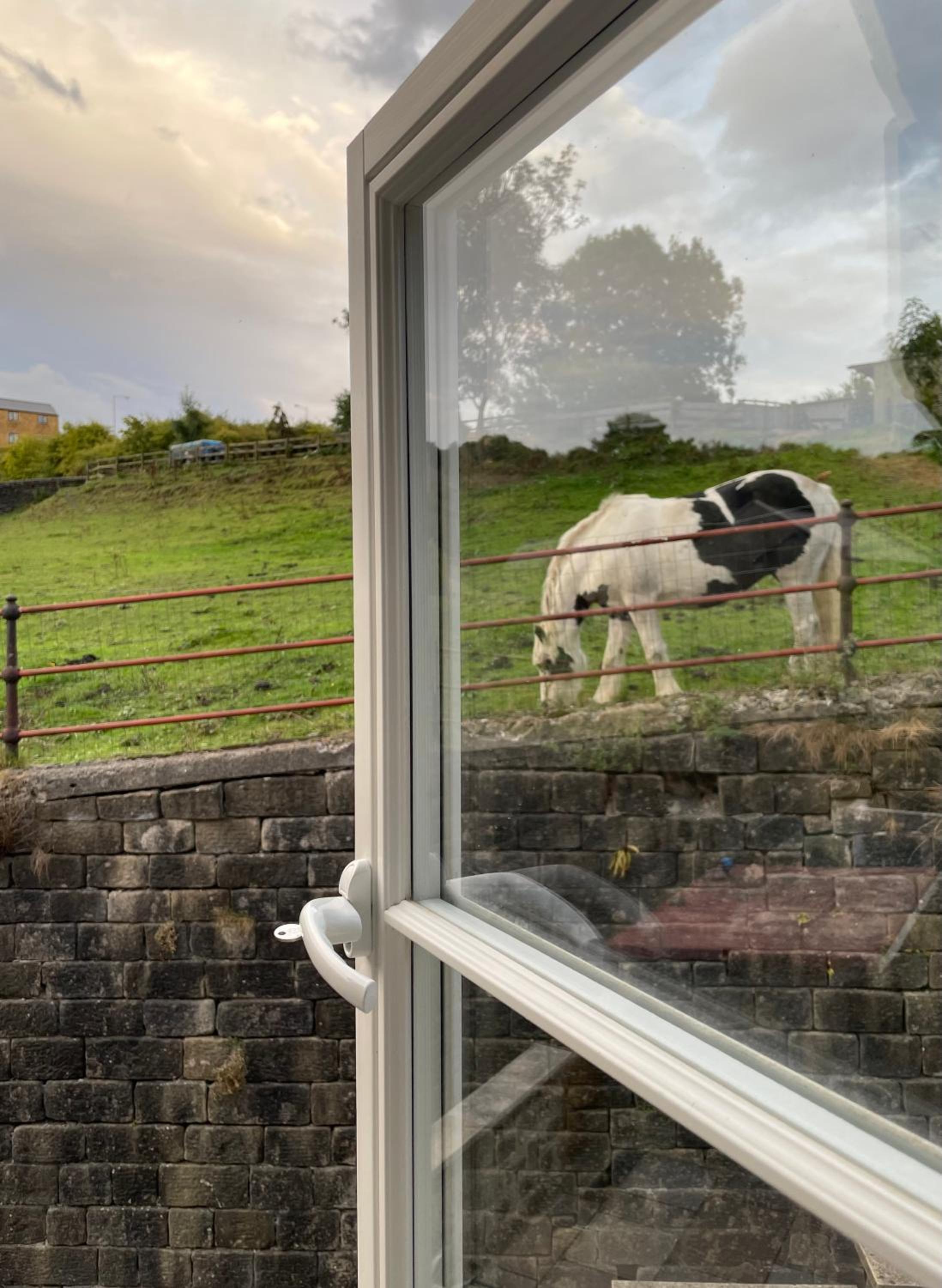 Ebor Mill's Cottage