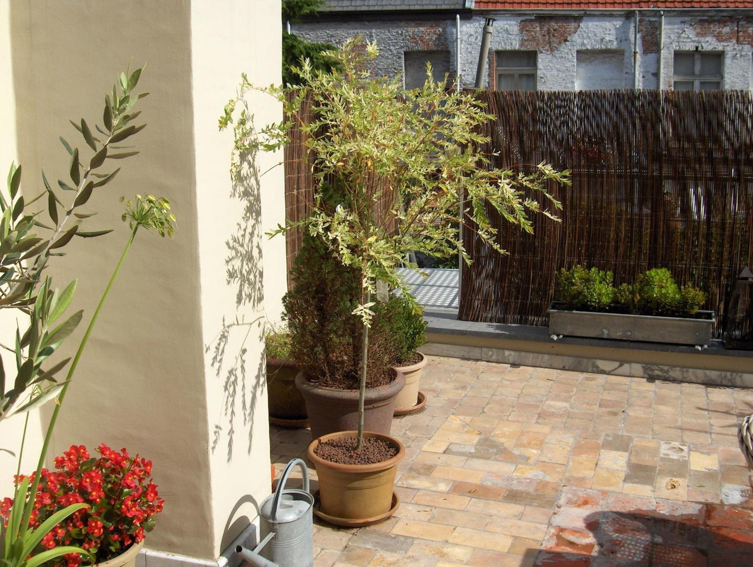 B&B De Lachende Engel