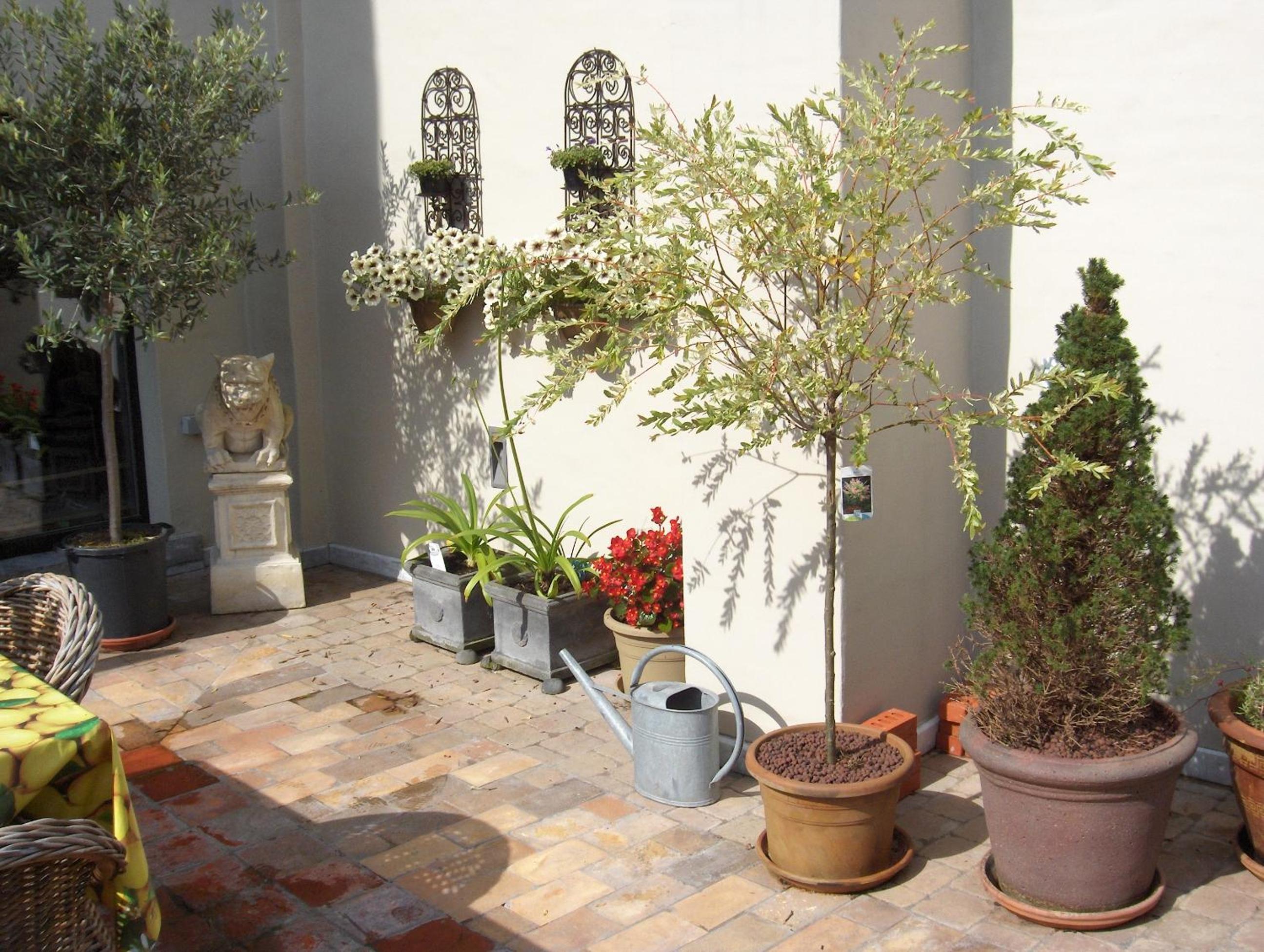 B&B De Lachende Engel