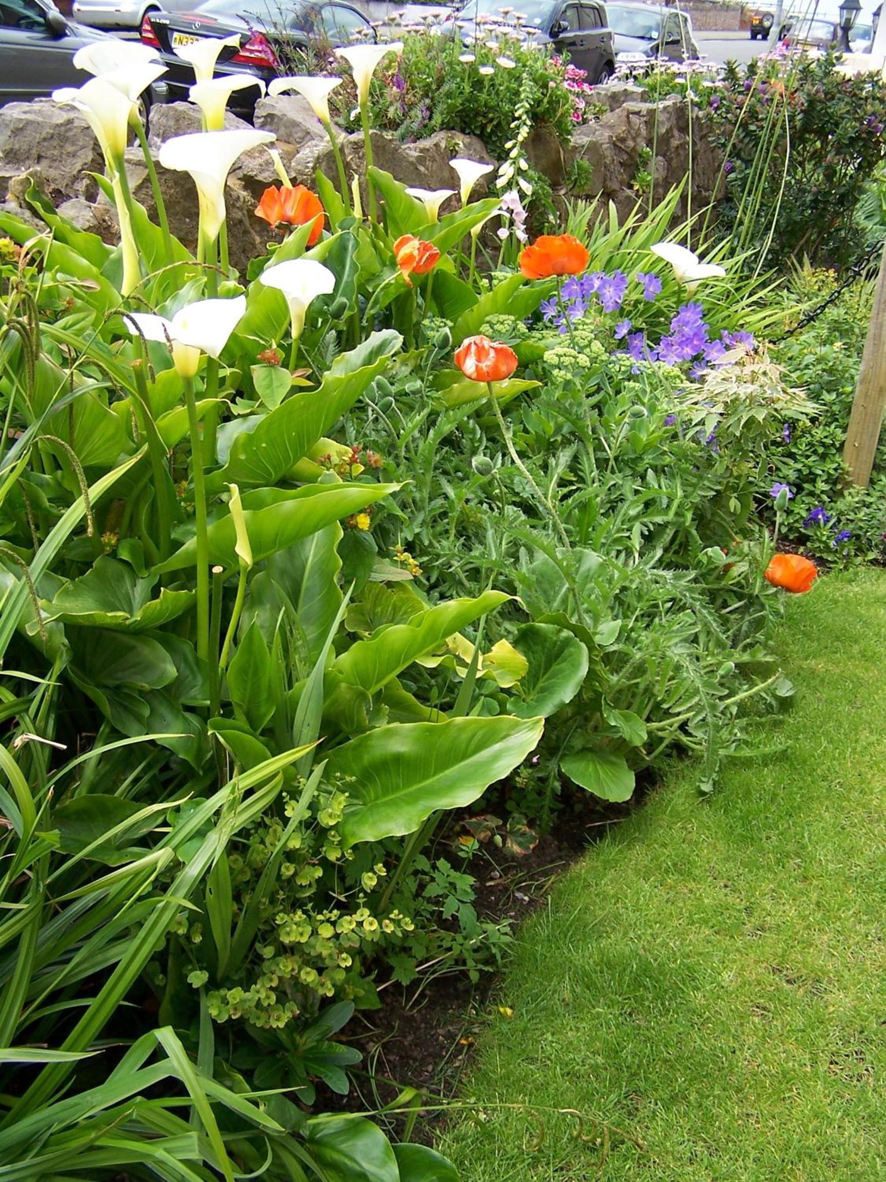 Photo 26