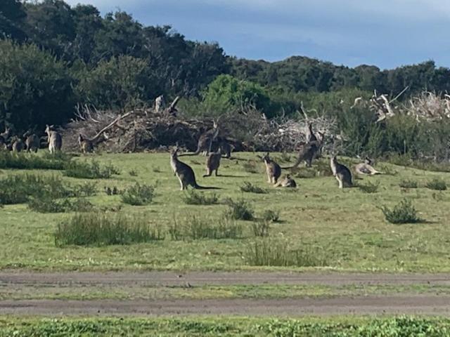 Broadbeach Inverloch