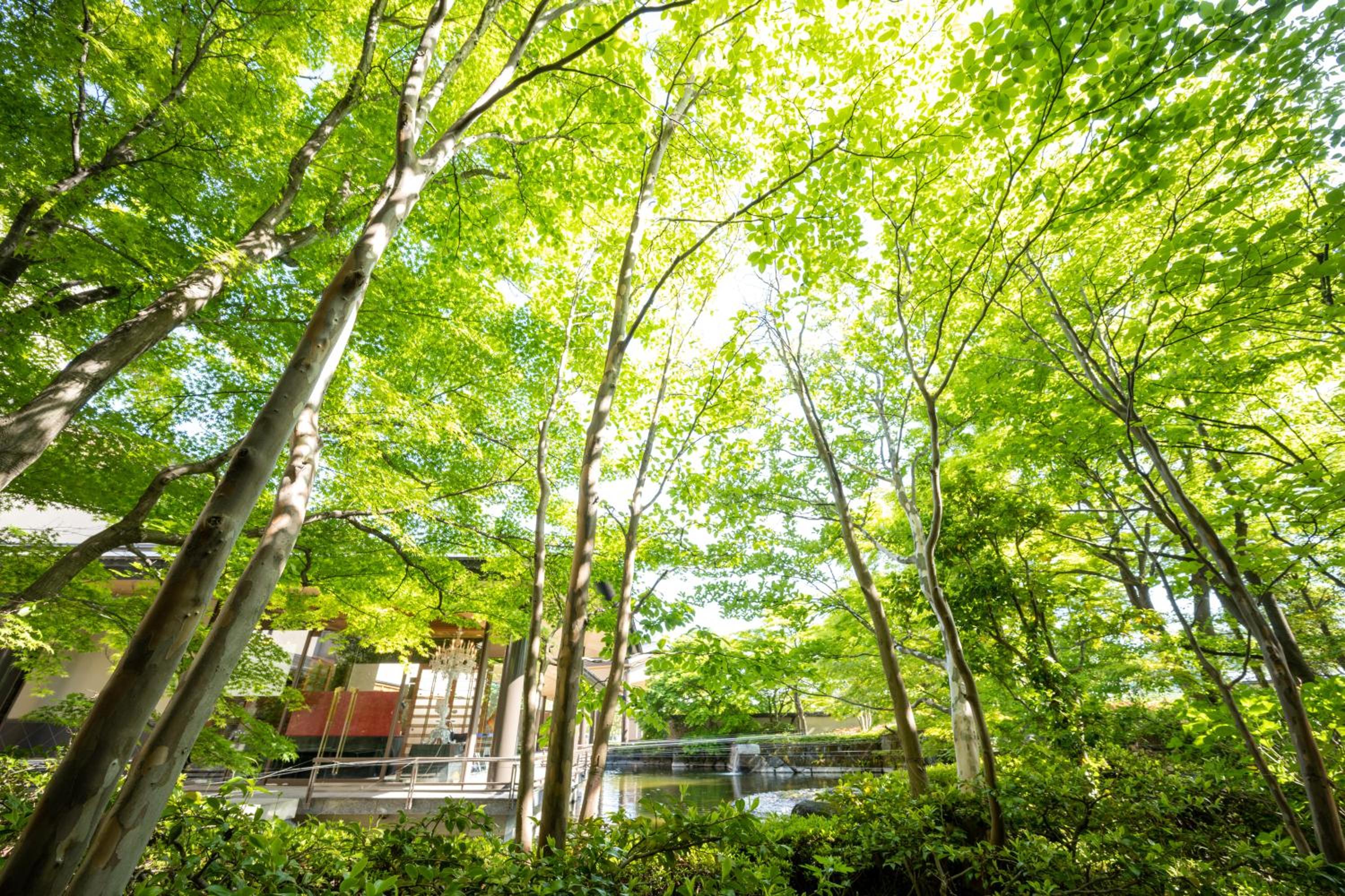 Iizaka Onsen Surikamitei Ohtori