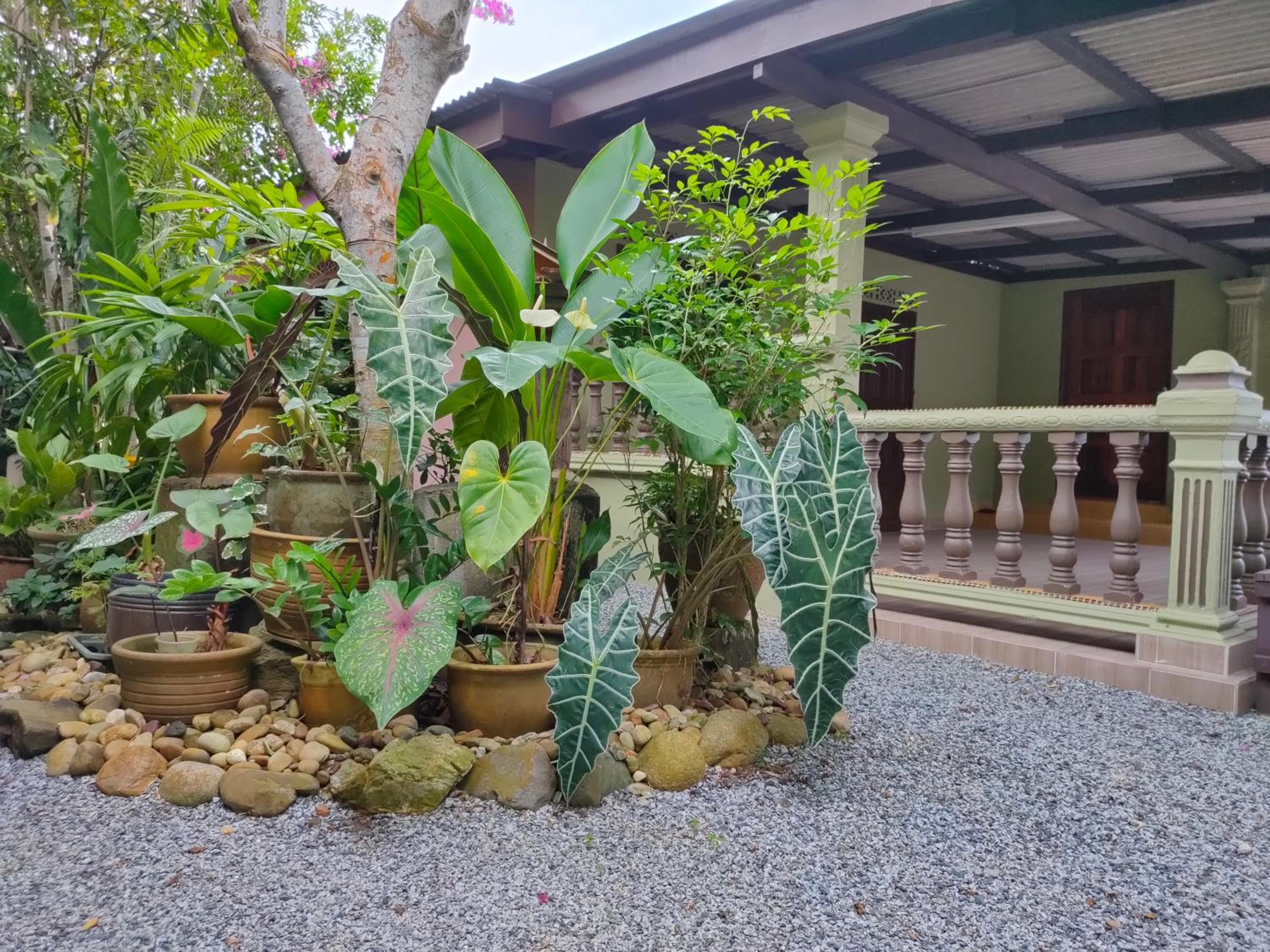 Hidden Homestay