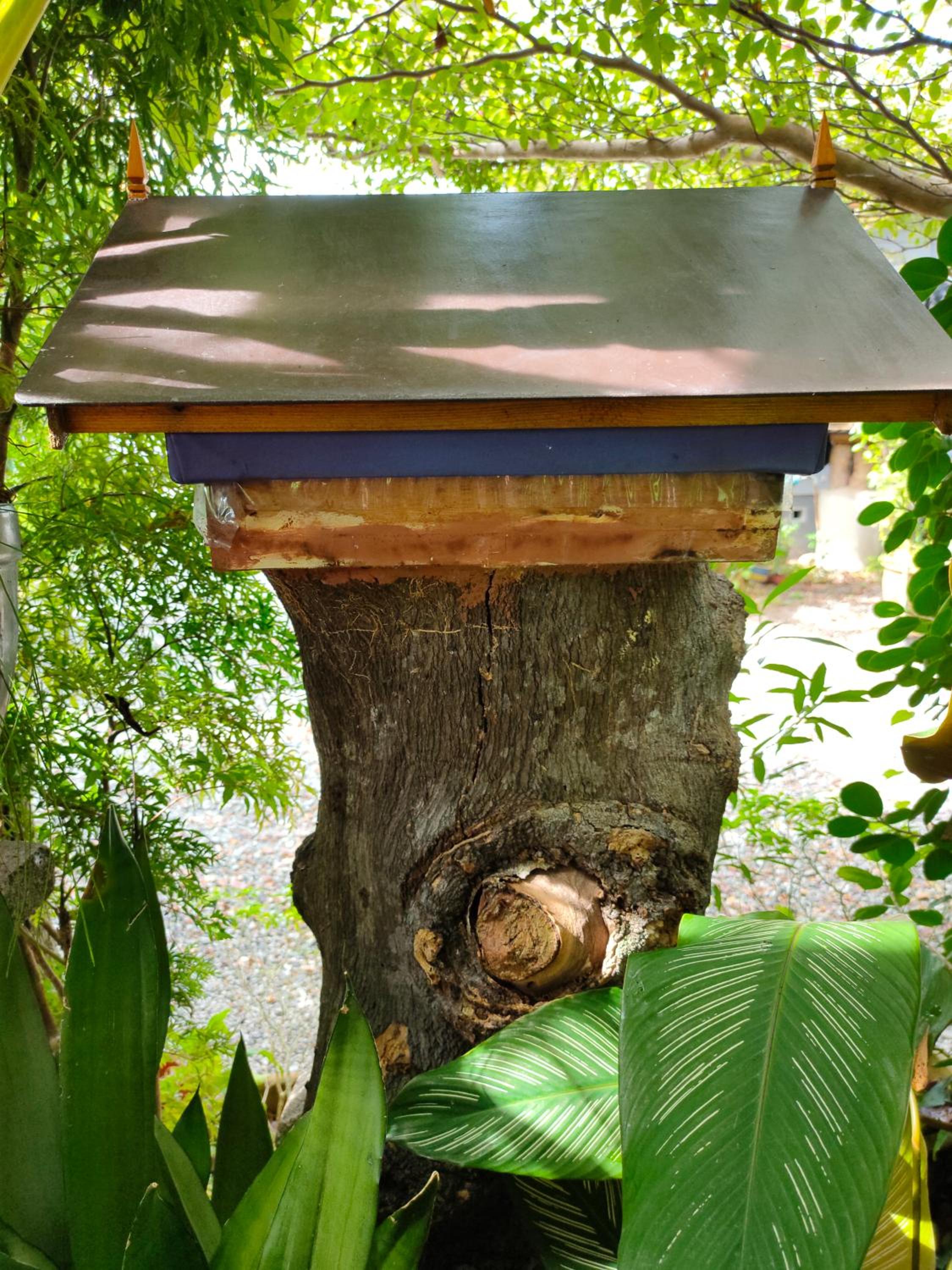 Hidden Homestay