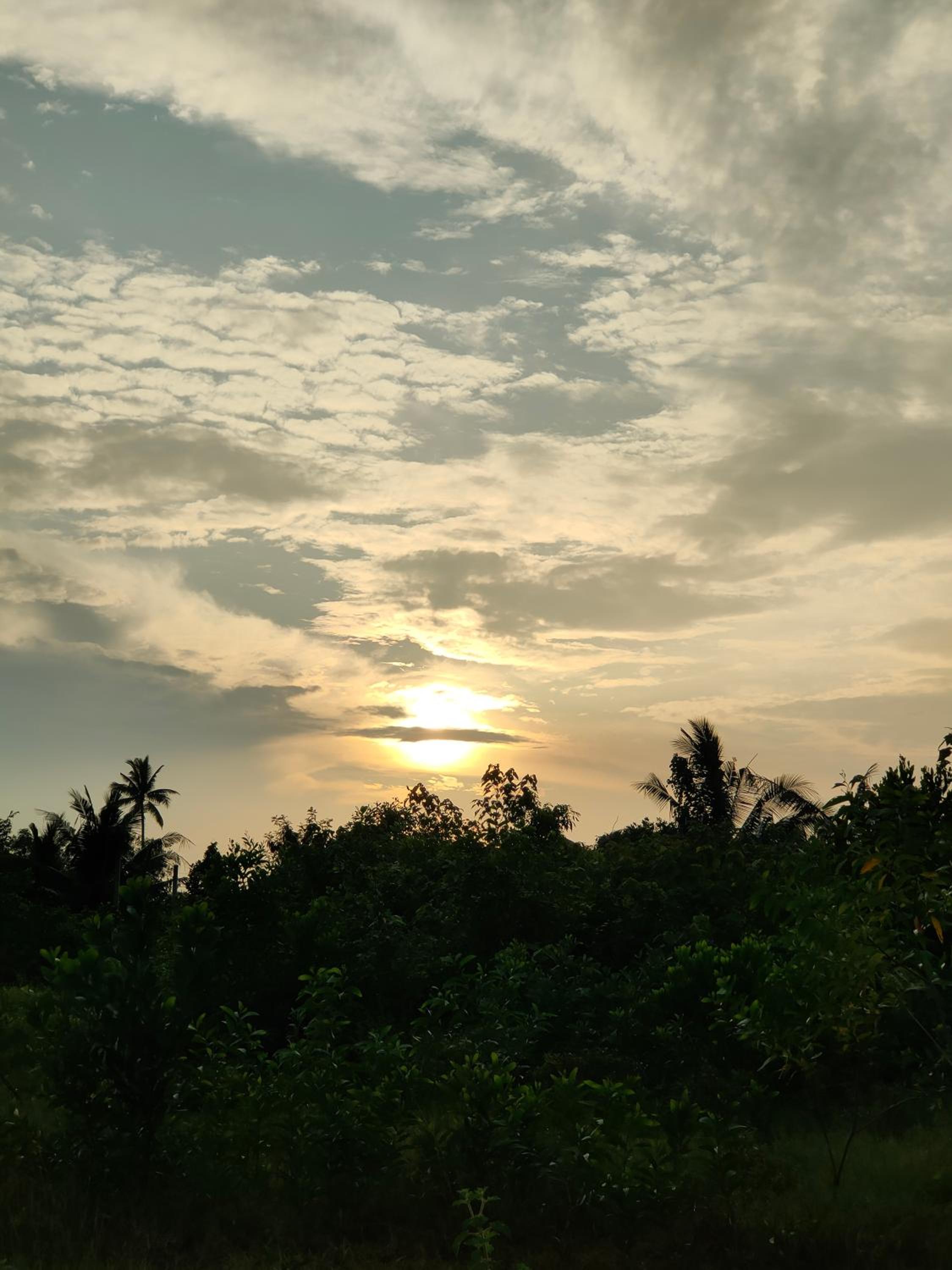 Hidden Homestay