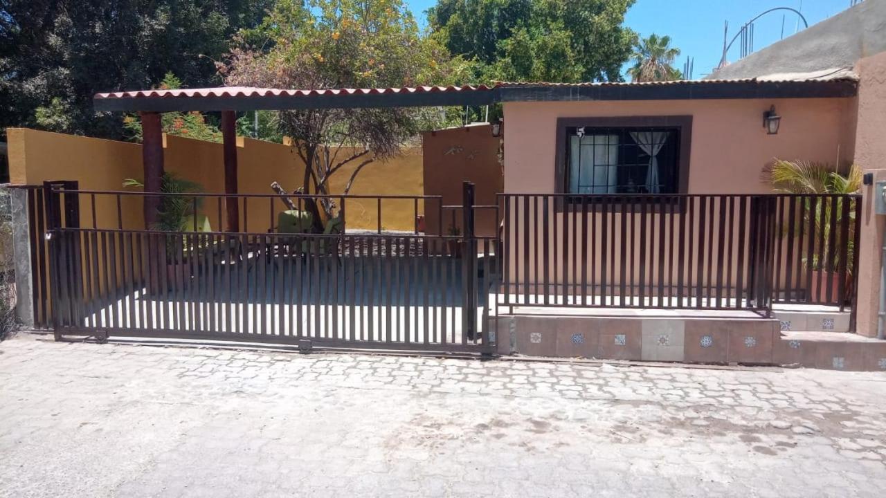 Photo 10