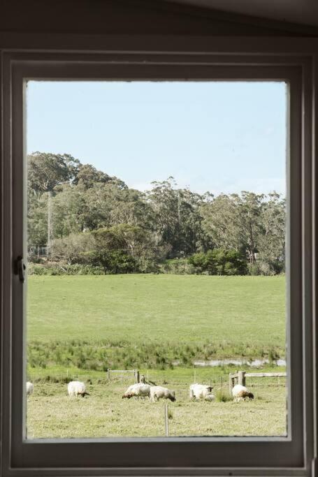 Picturesque Barn located on the Shoalhaven River