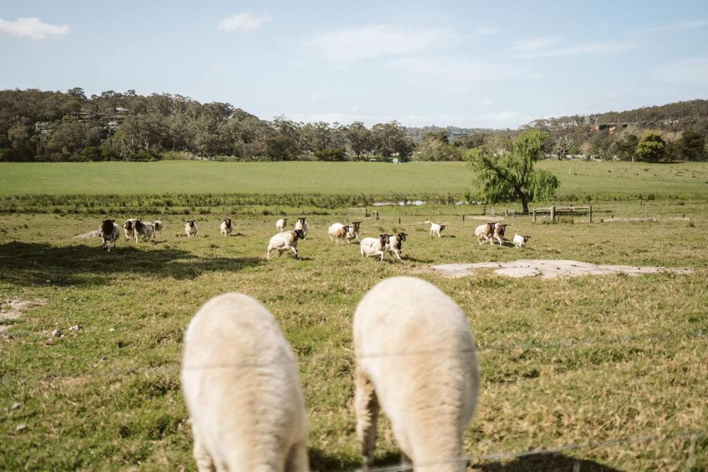 Picturesque Barn located on the Shoalhaven River