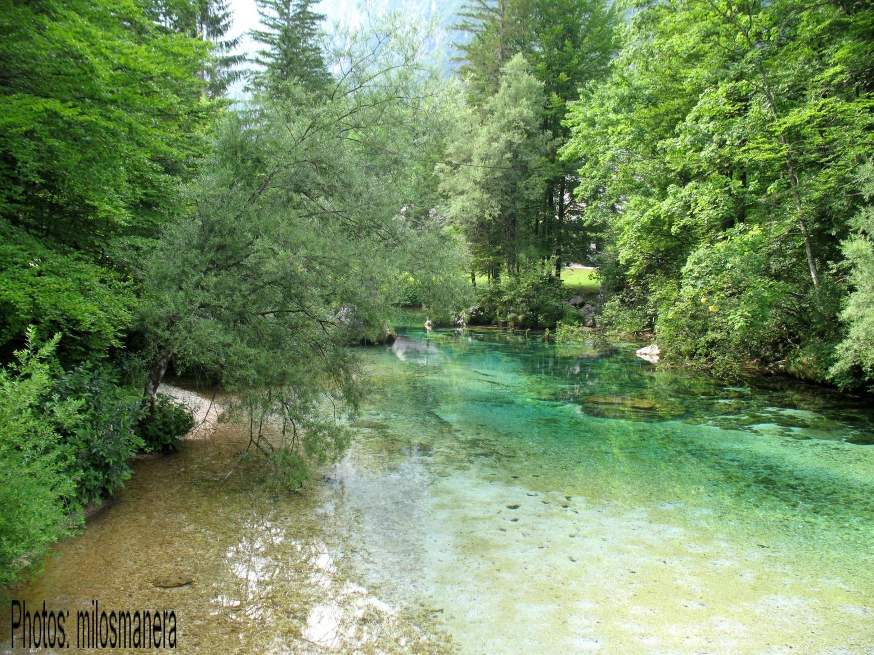 Apartments Lake Bohinj