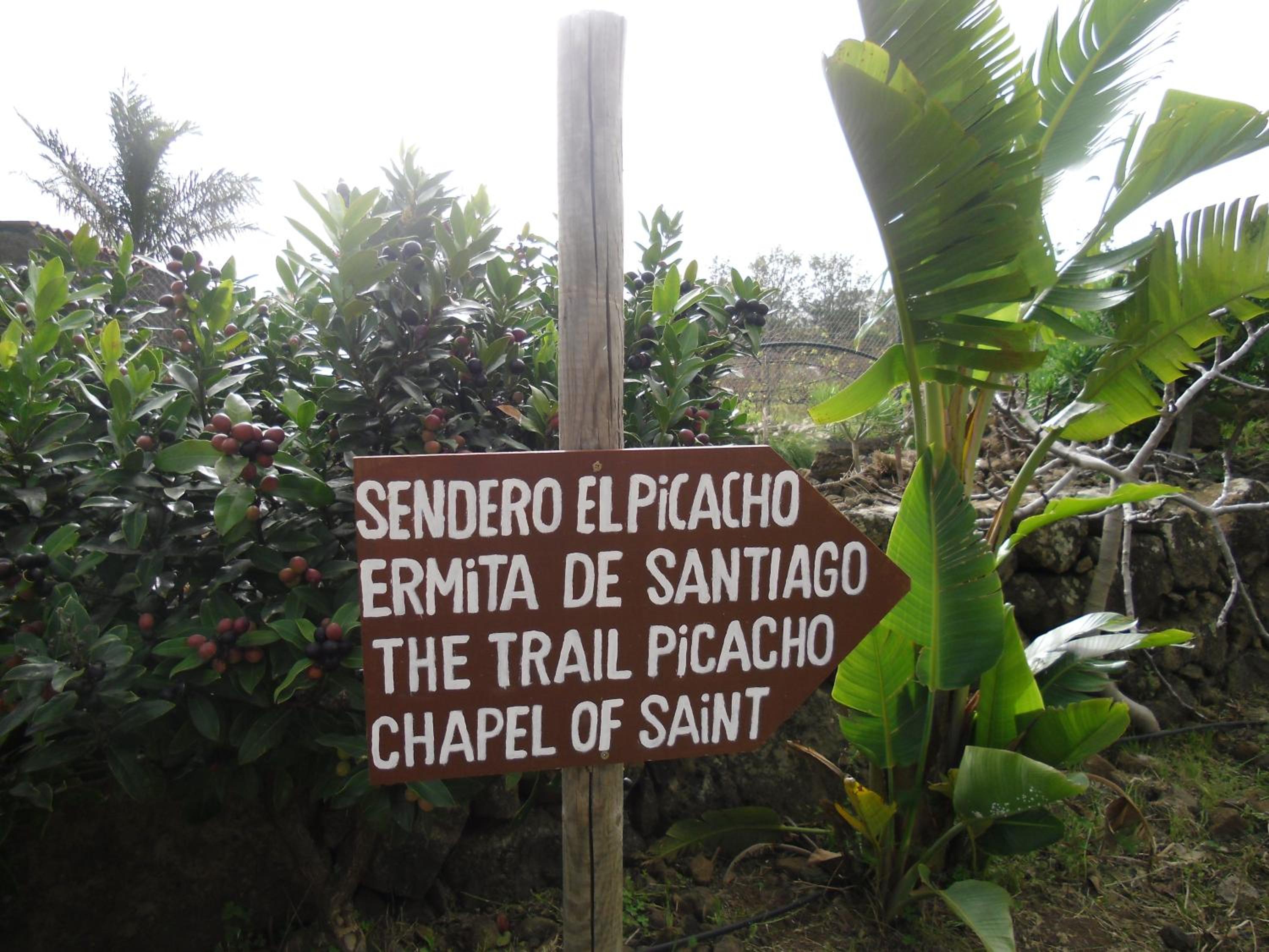 Photo 46