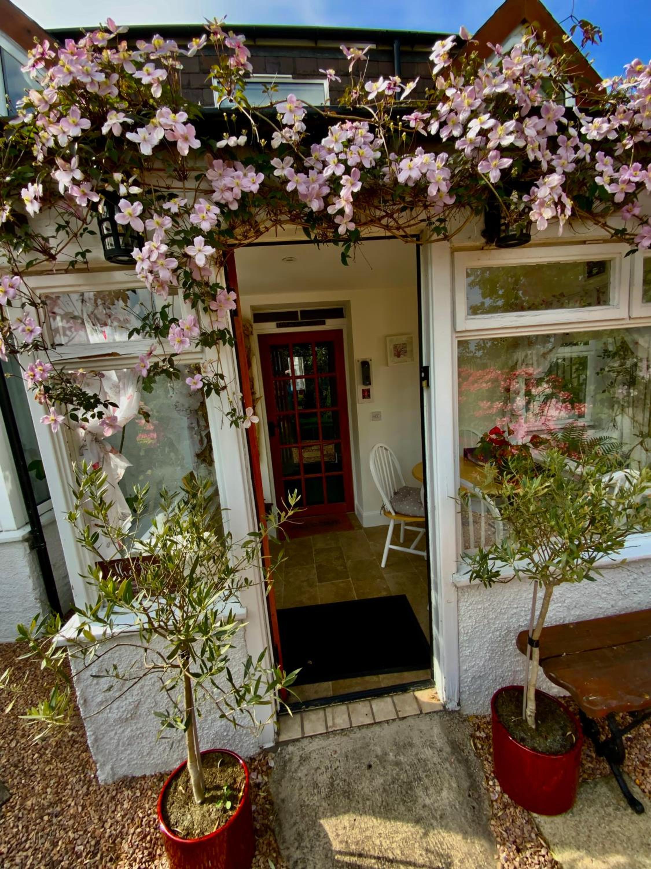 Photo 20