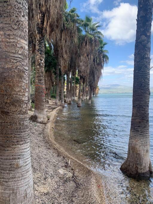 Sea of Galilee Tiberius apartment with panoramic sea view view 3