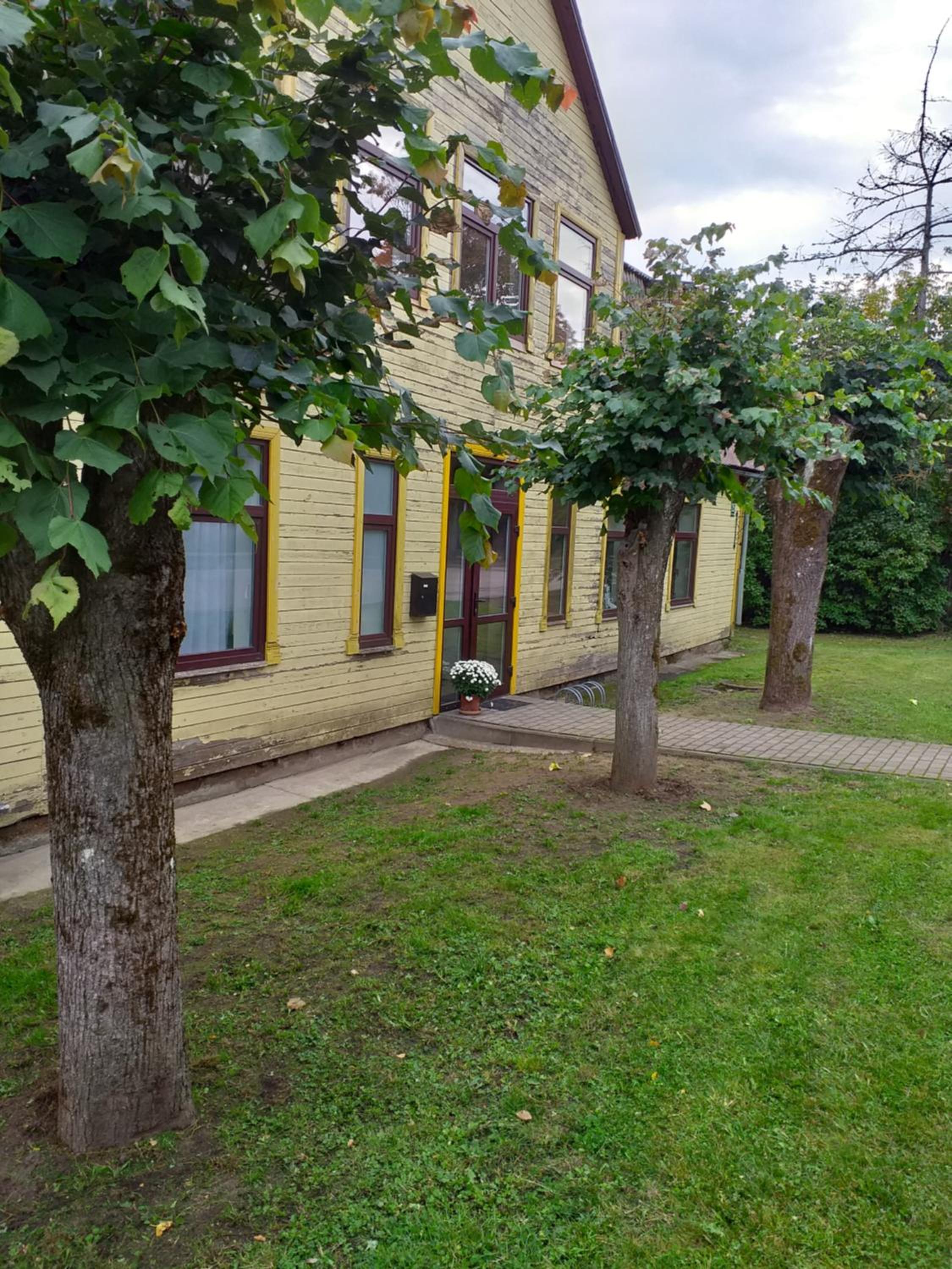 Photo 6