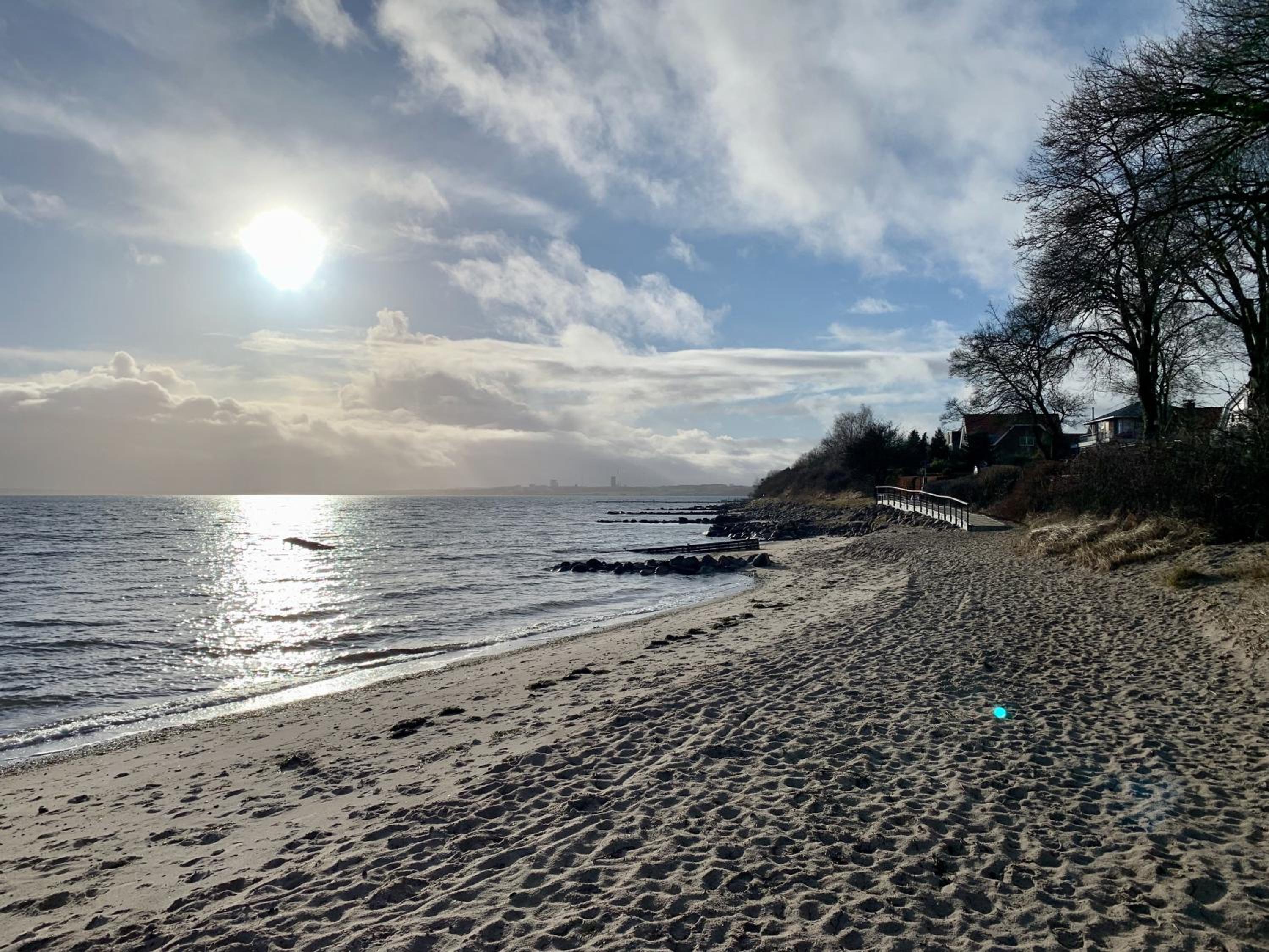 Nees in Wind - Eichenhain