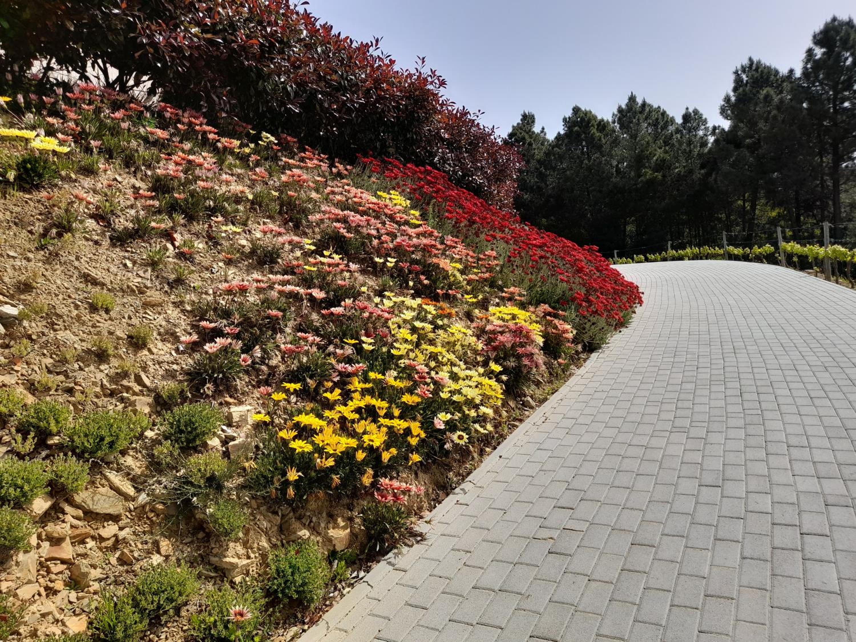 Quinta Manhas Douro
