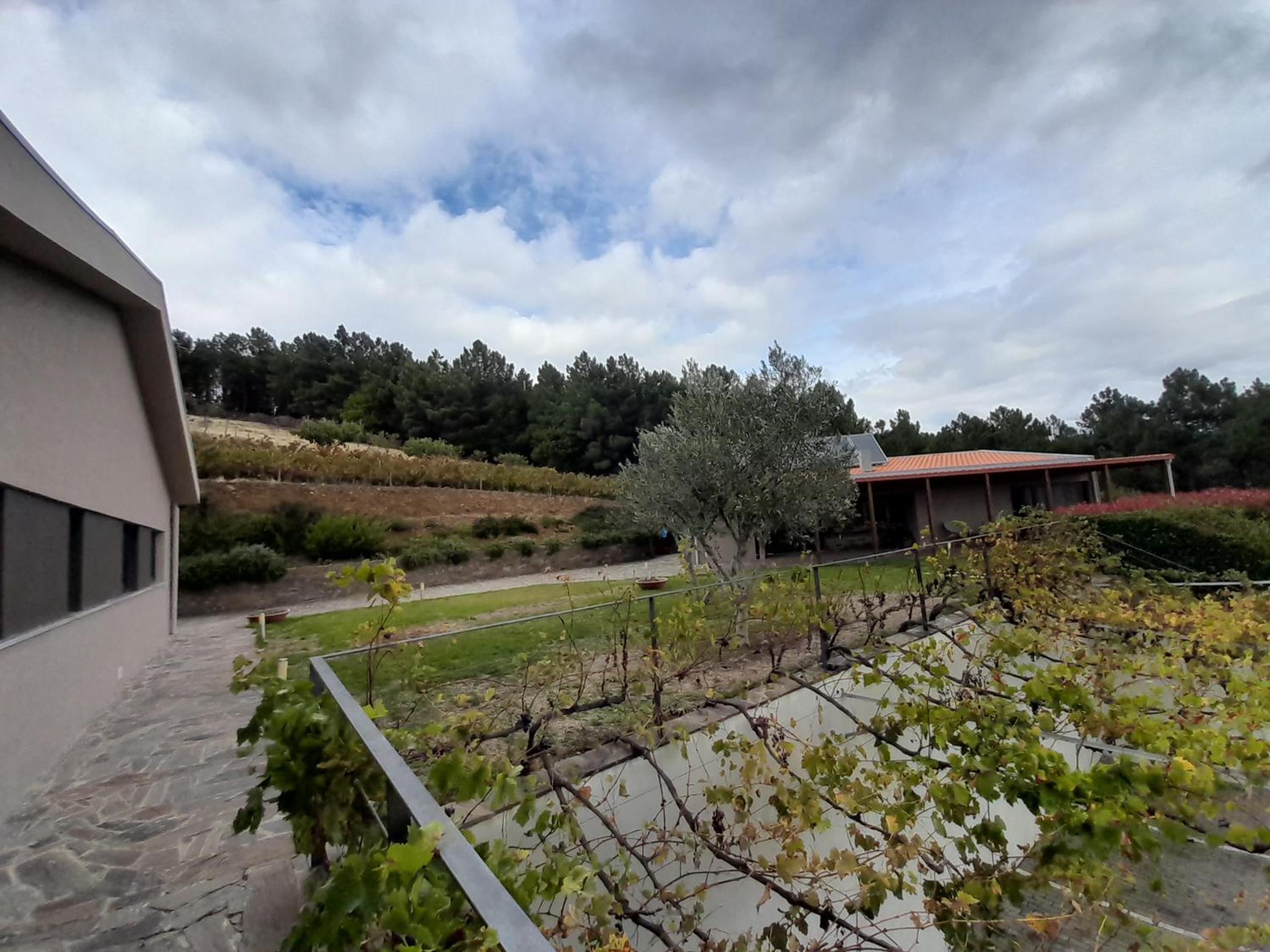Quinta Manhas Douro