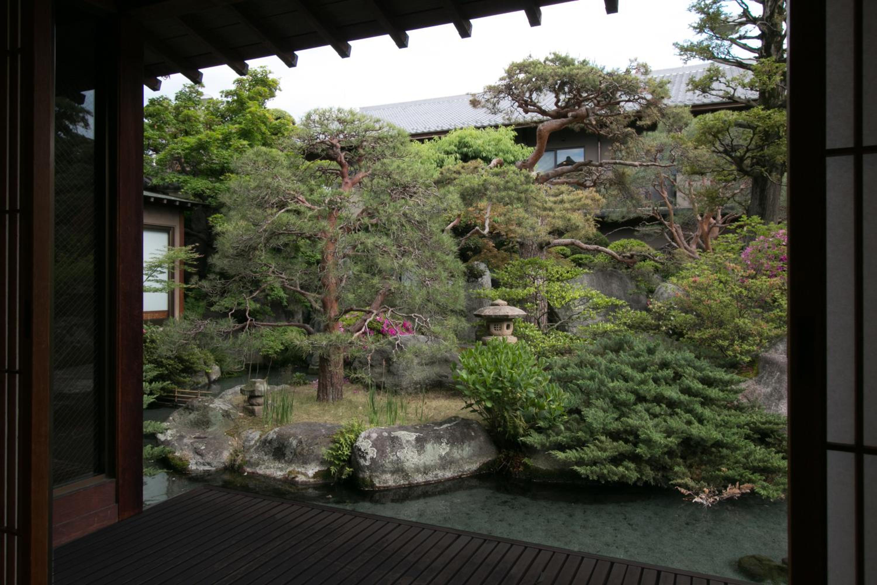 Photo 21