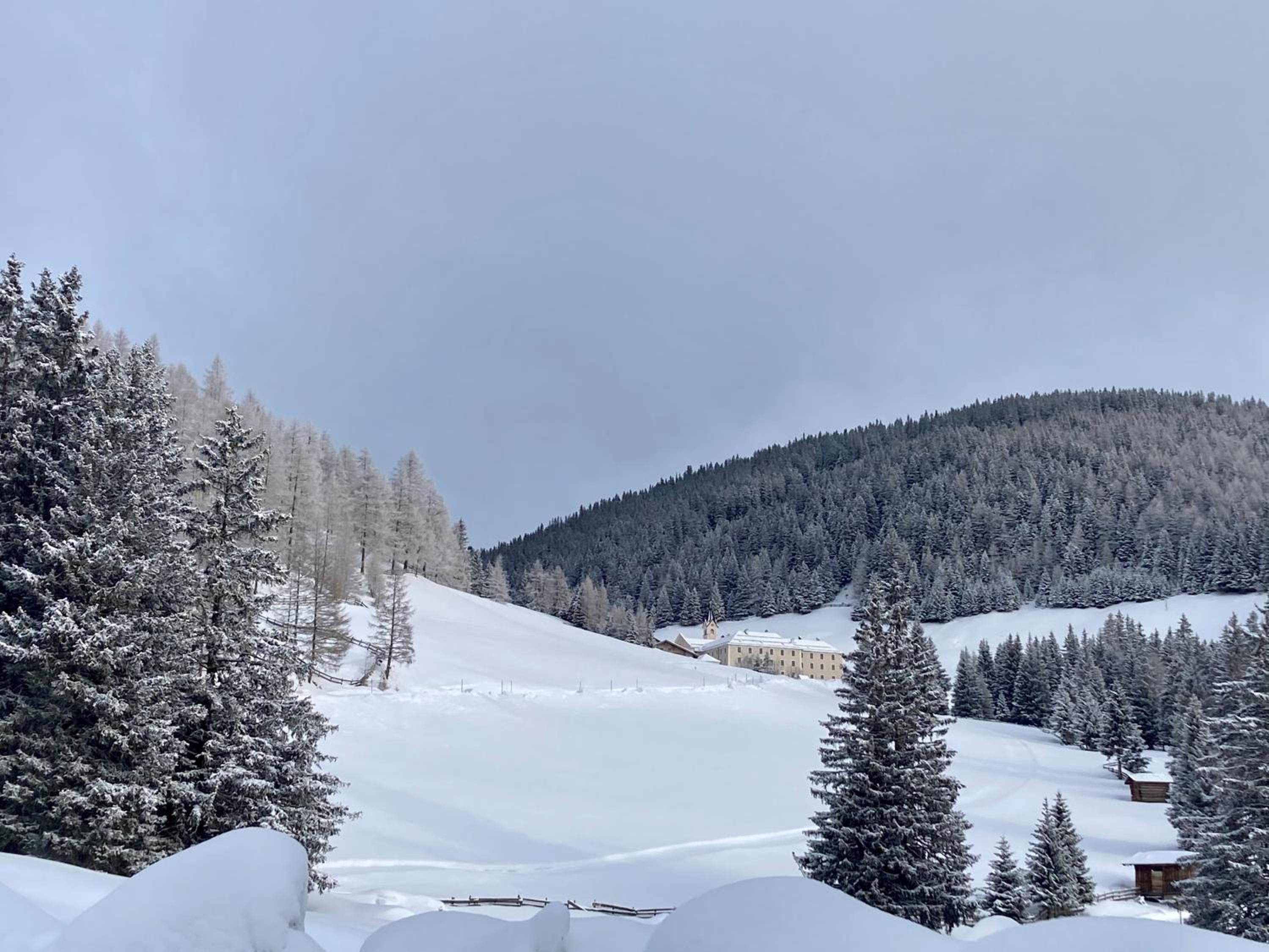 Waldrast Natur Resort
