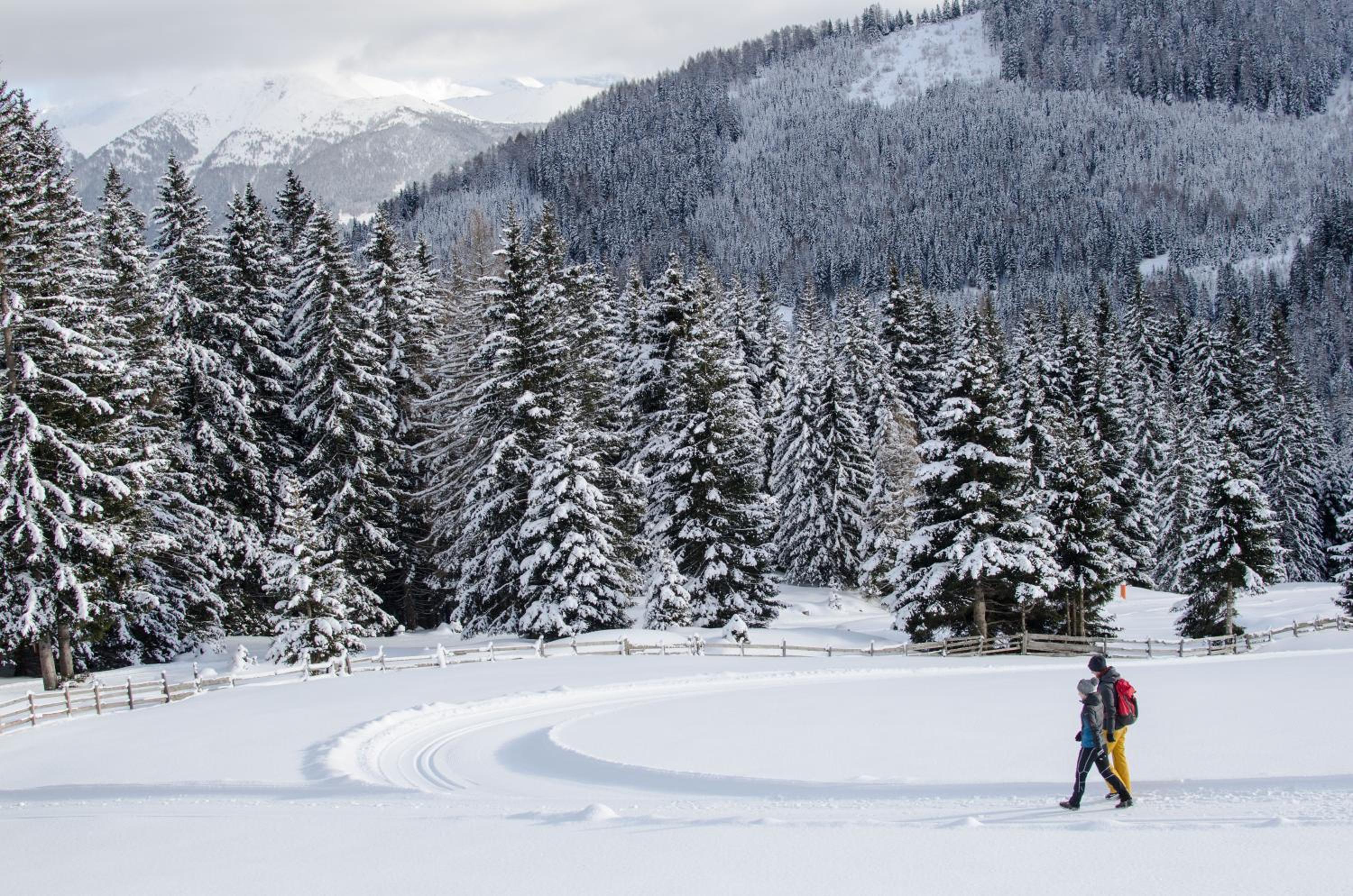 Waldrast Natur Resort