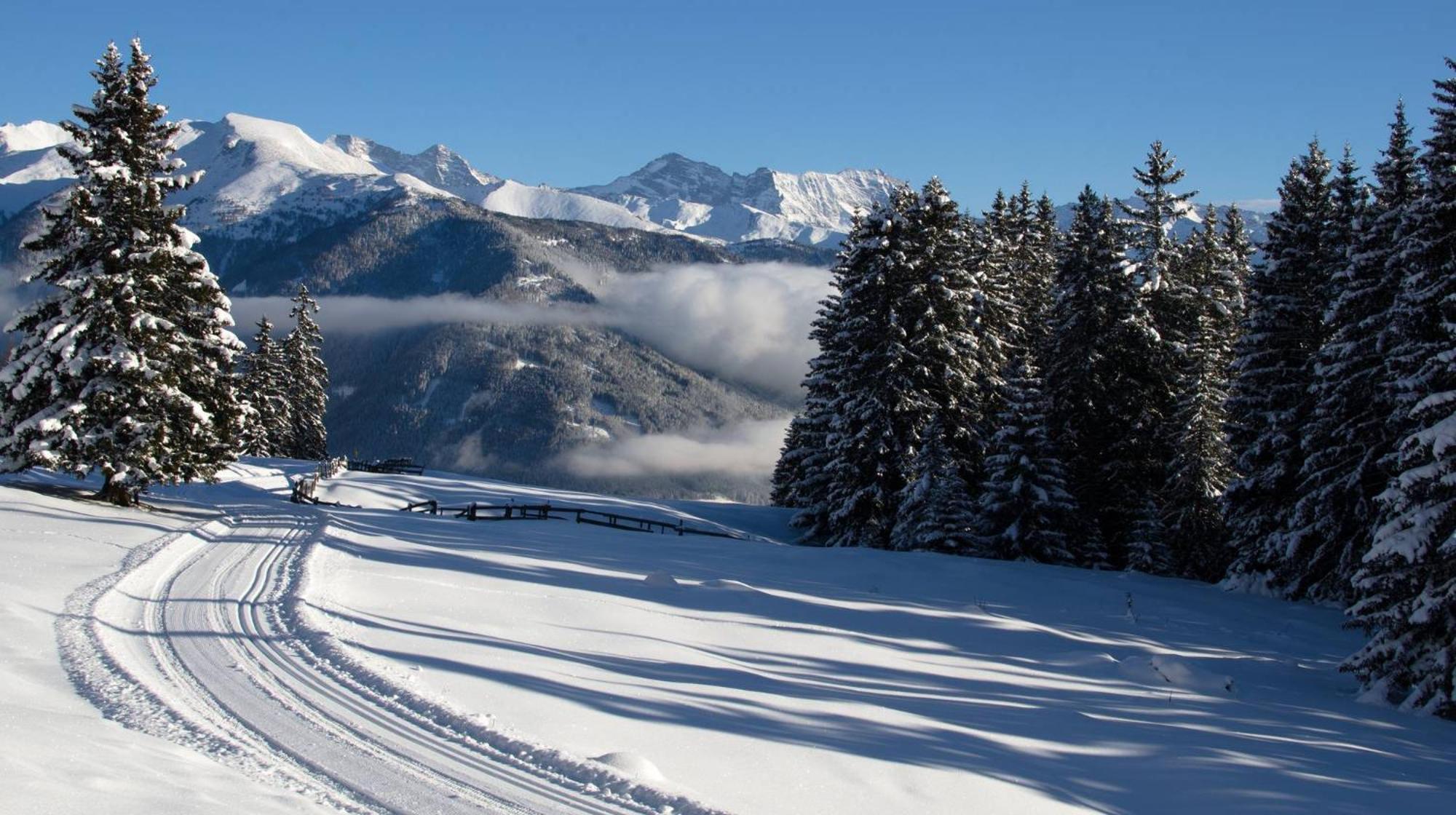 Waldrast Natur Resort
