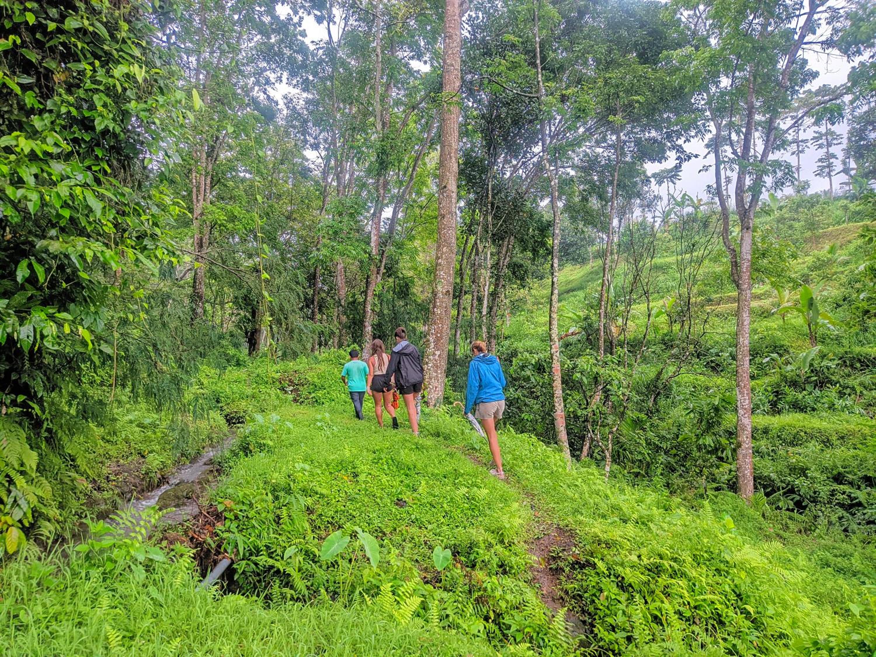 Tetebatu Mountain View Homestay