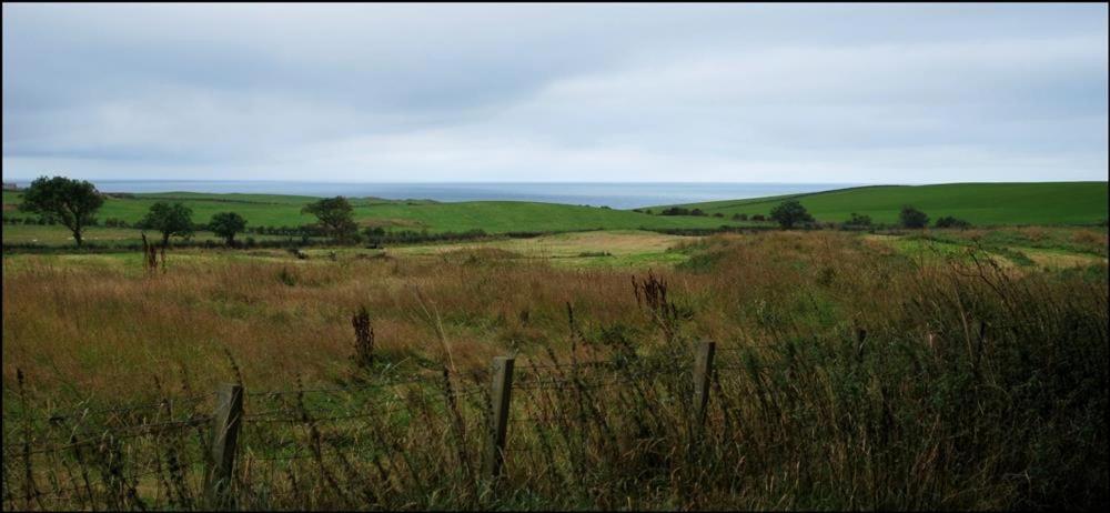 Chapelton Coachman's Cottage view 5