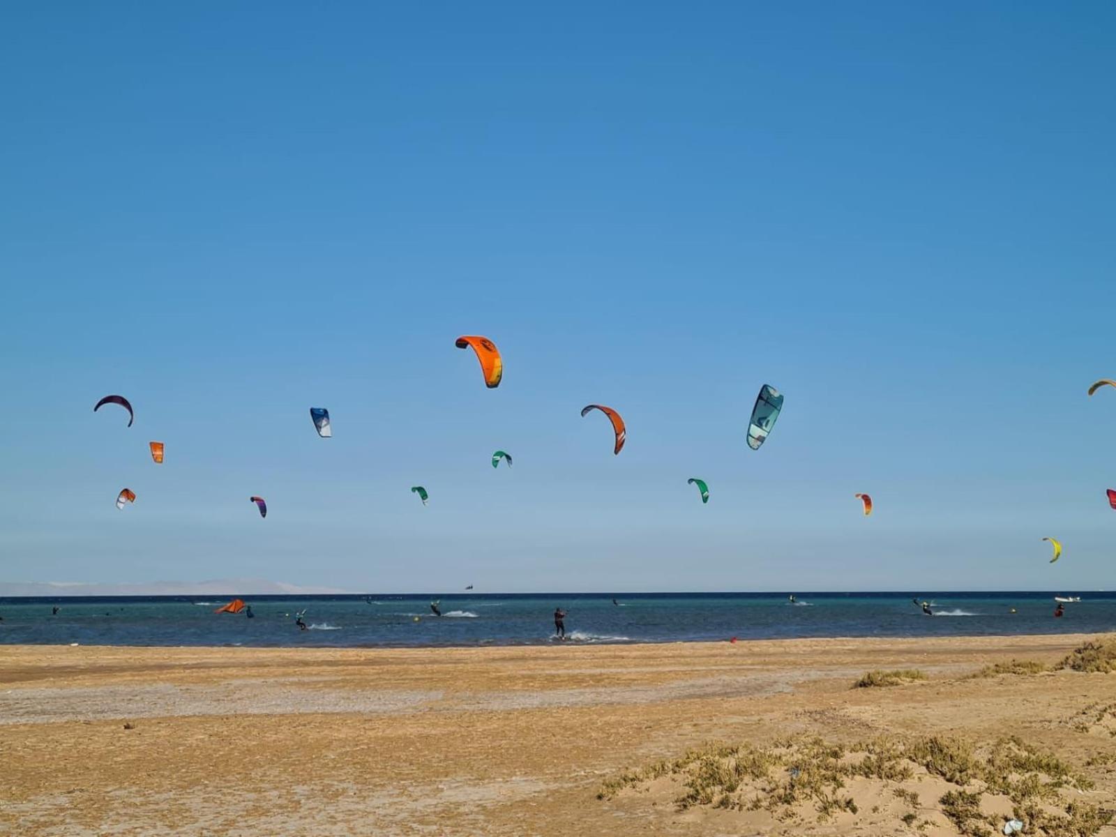 Mangarovy El Gouna
