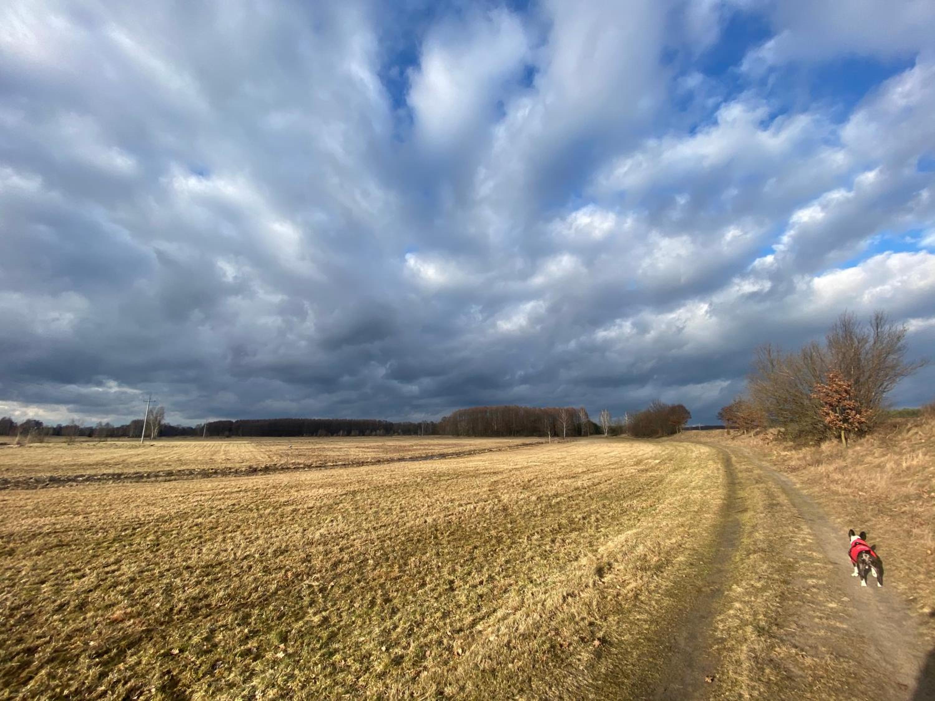 Domek Kruczy Borek view 4