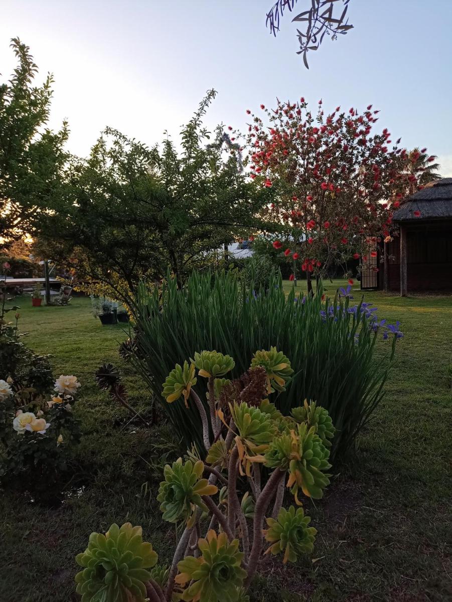 Quinta Los Olivos