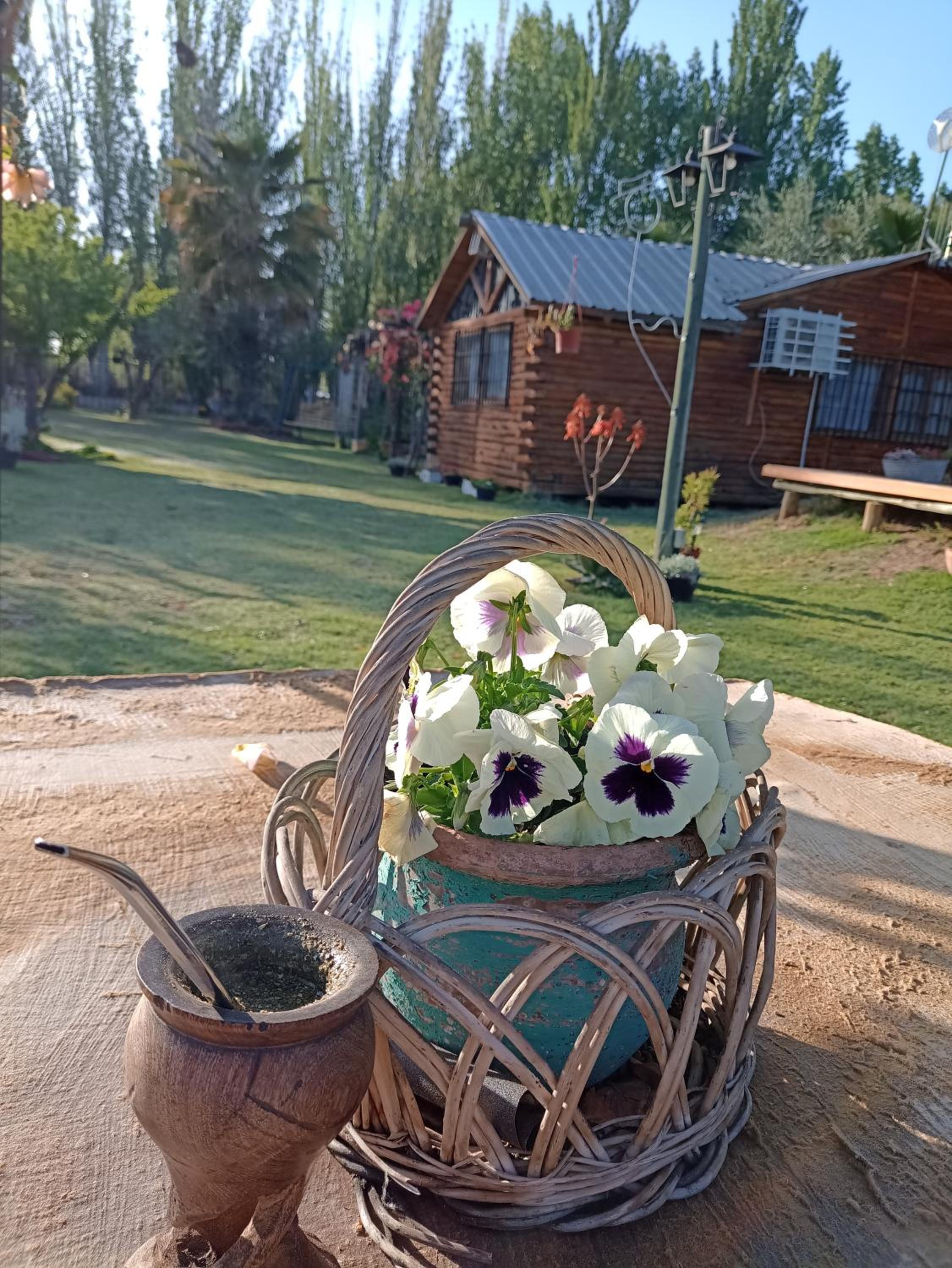 Quinta Los Olivos