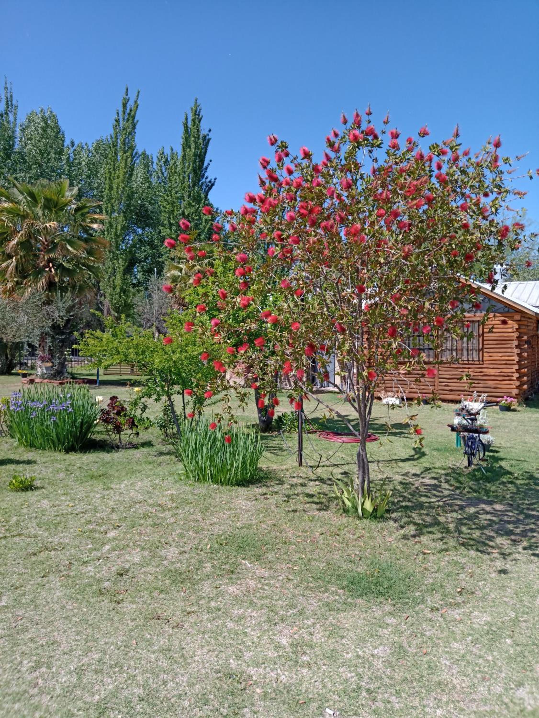 Quinta Los Olivos