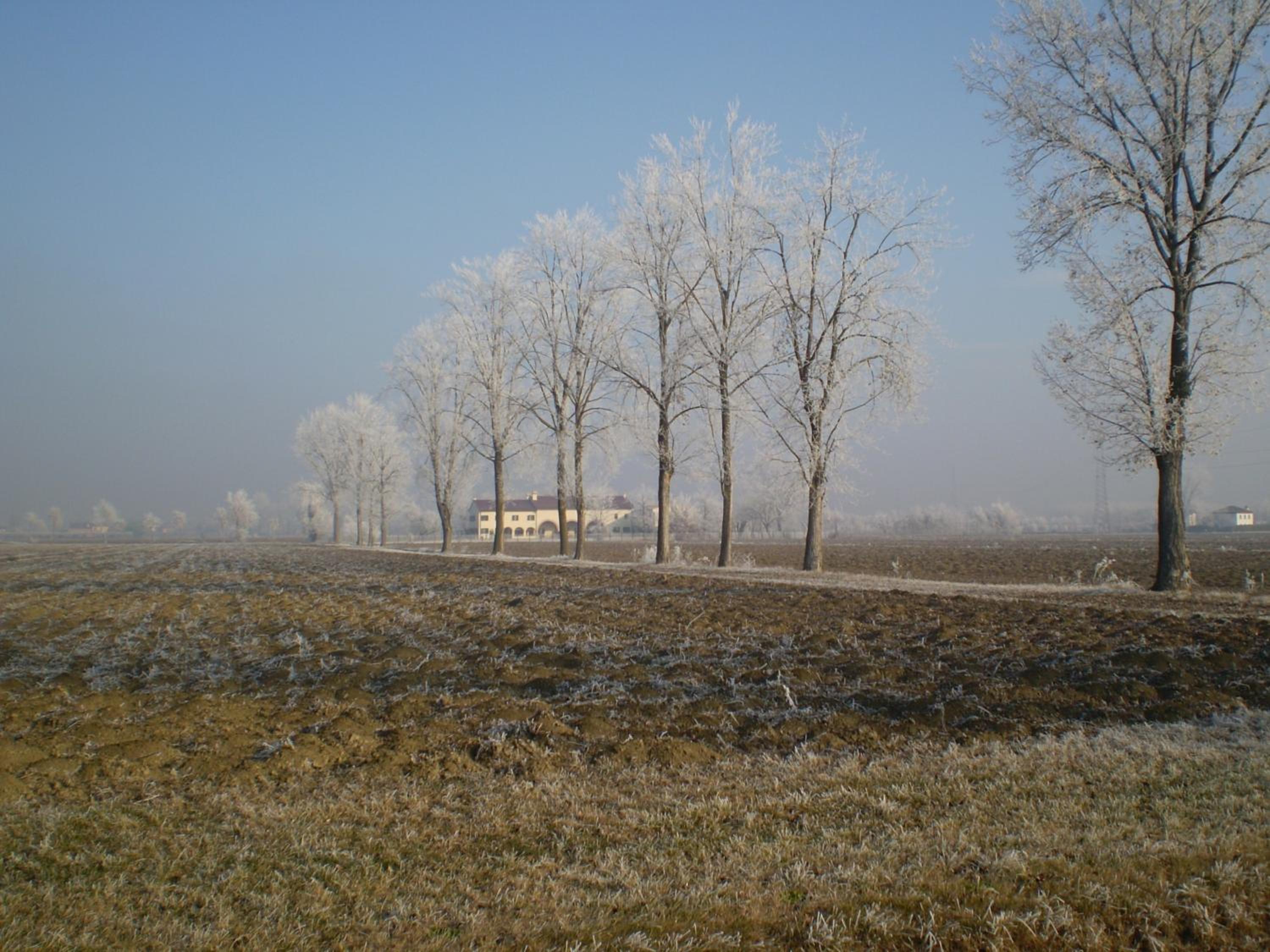 Photo 50