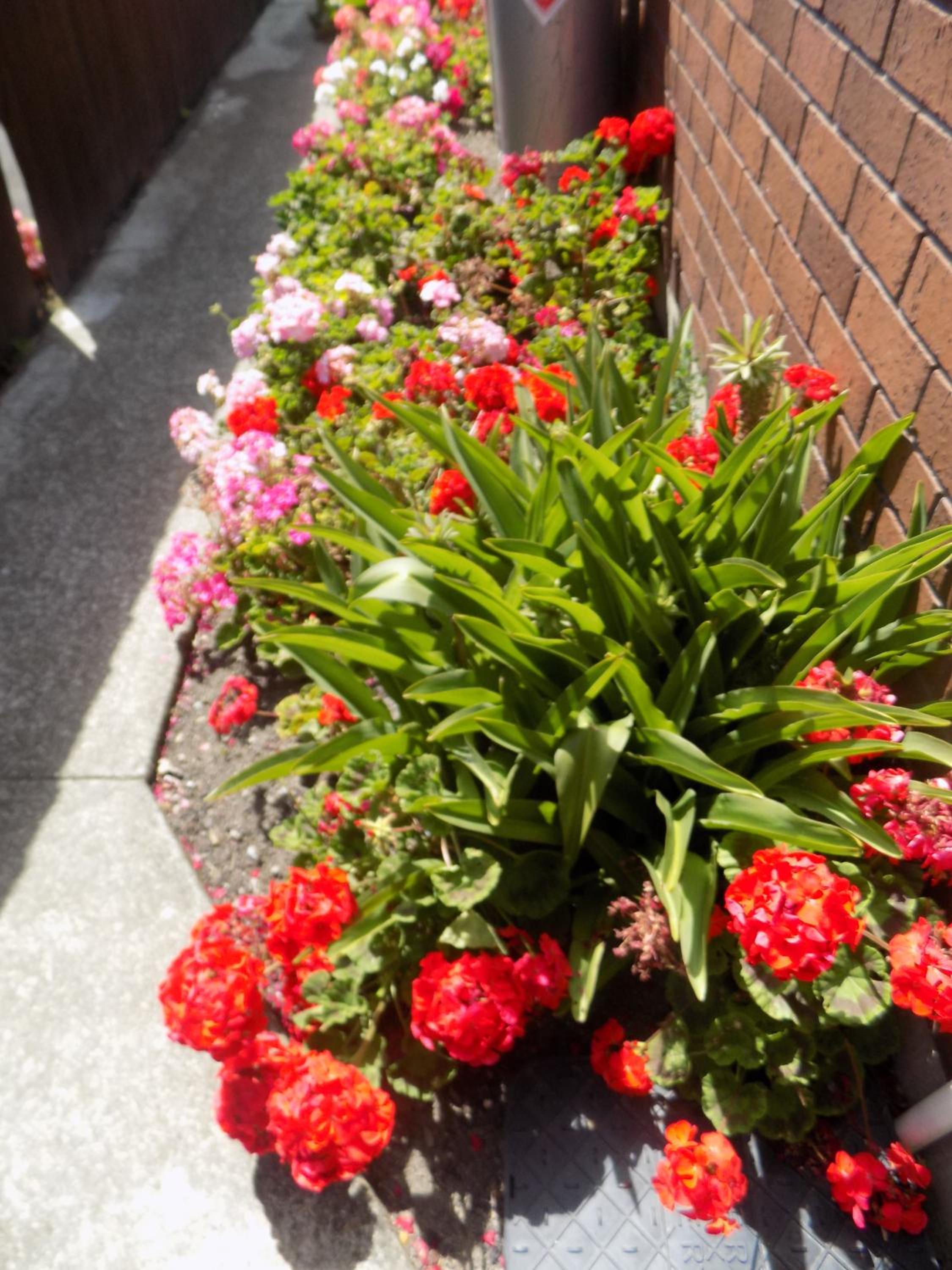Photo 46