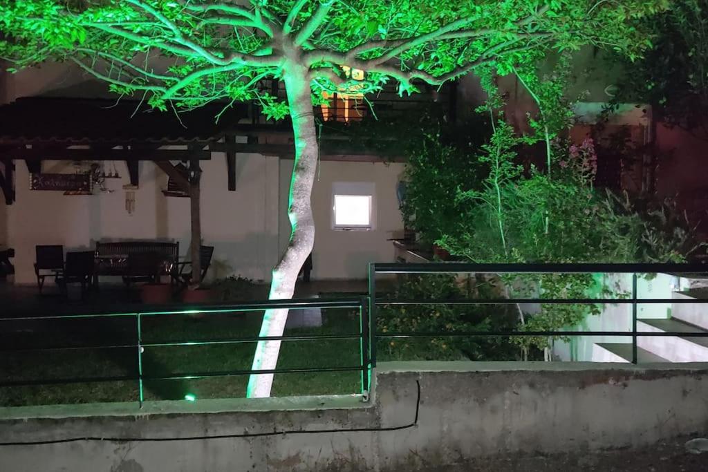 Diogenis villa view 5