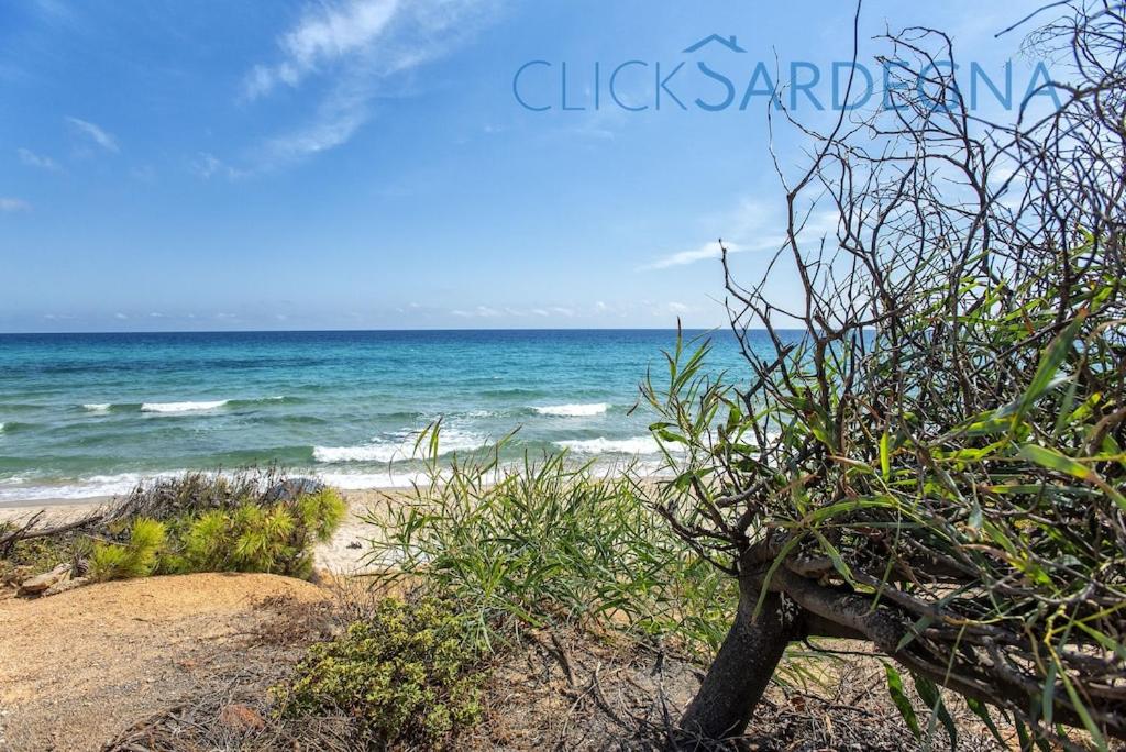 Villa right on the beach a Santa Margherita di Pula for 12 people view 5