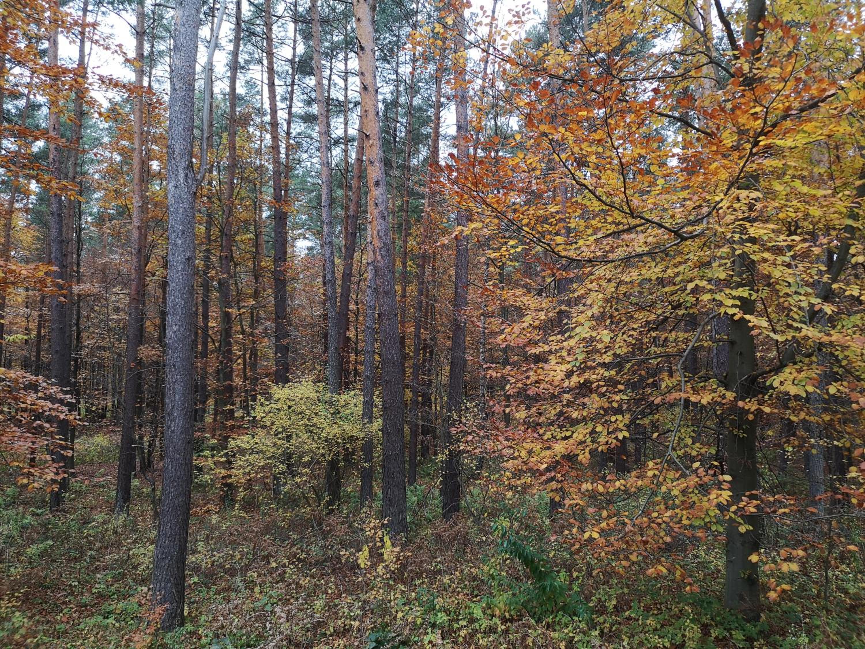 Photo 25