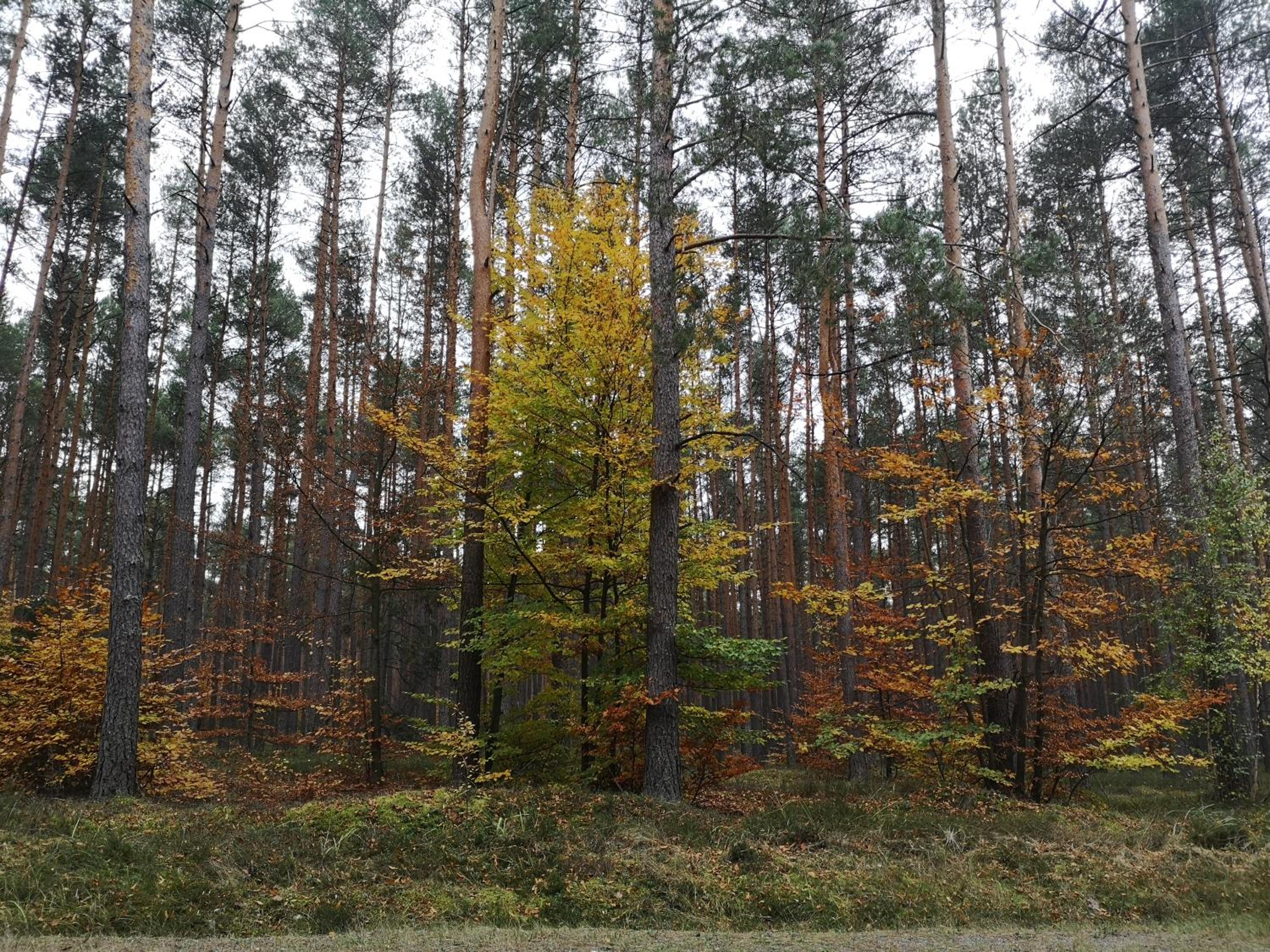 Photo 26